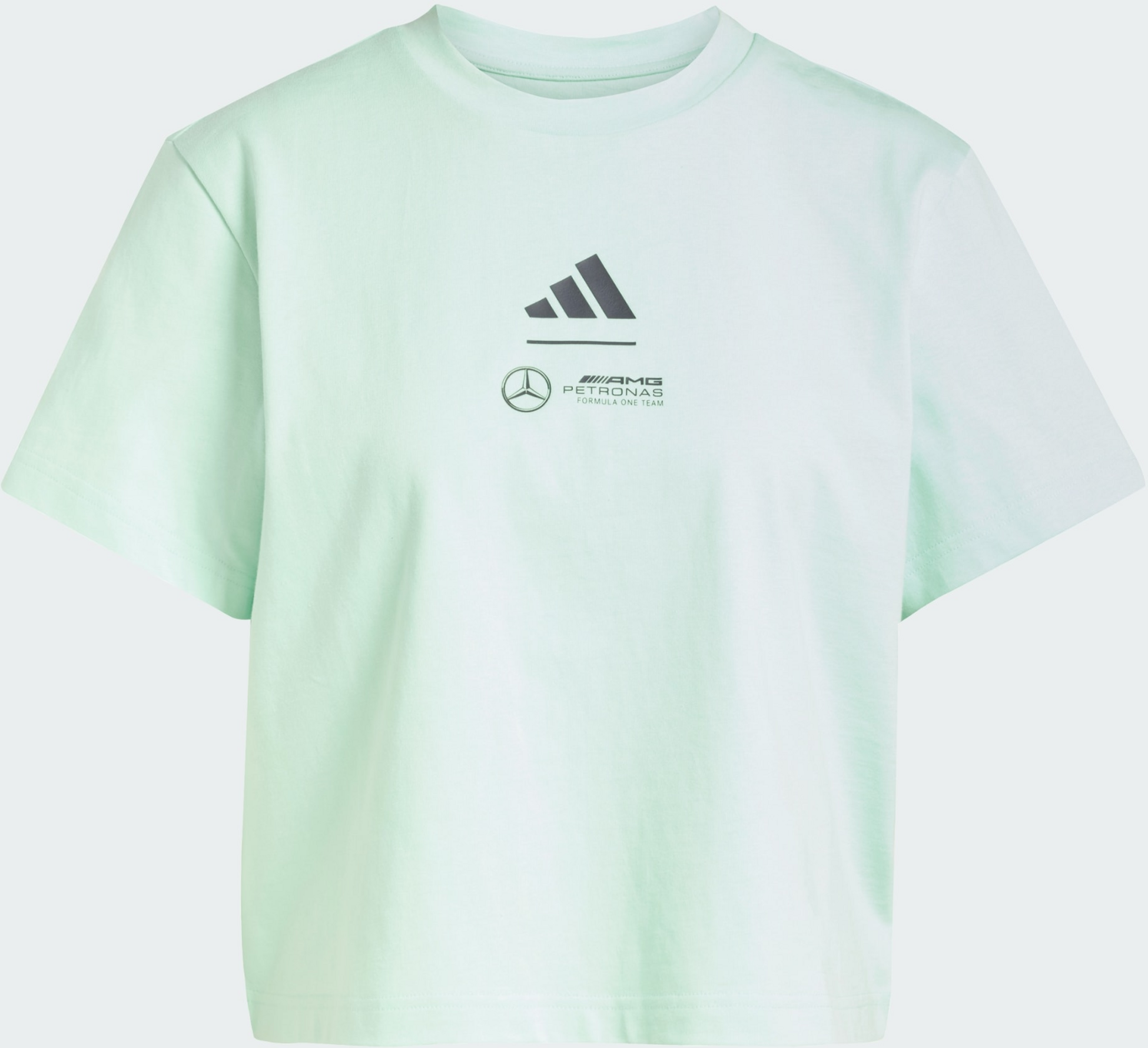 ADIDAS, Adidas Mercedes - Amg Petronas Formula One Team Pikétröja