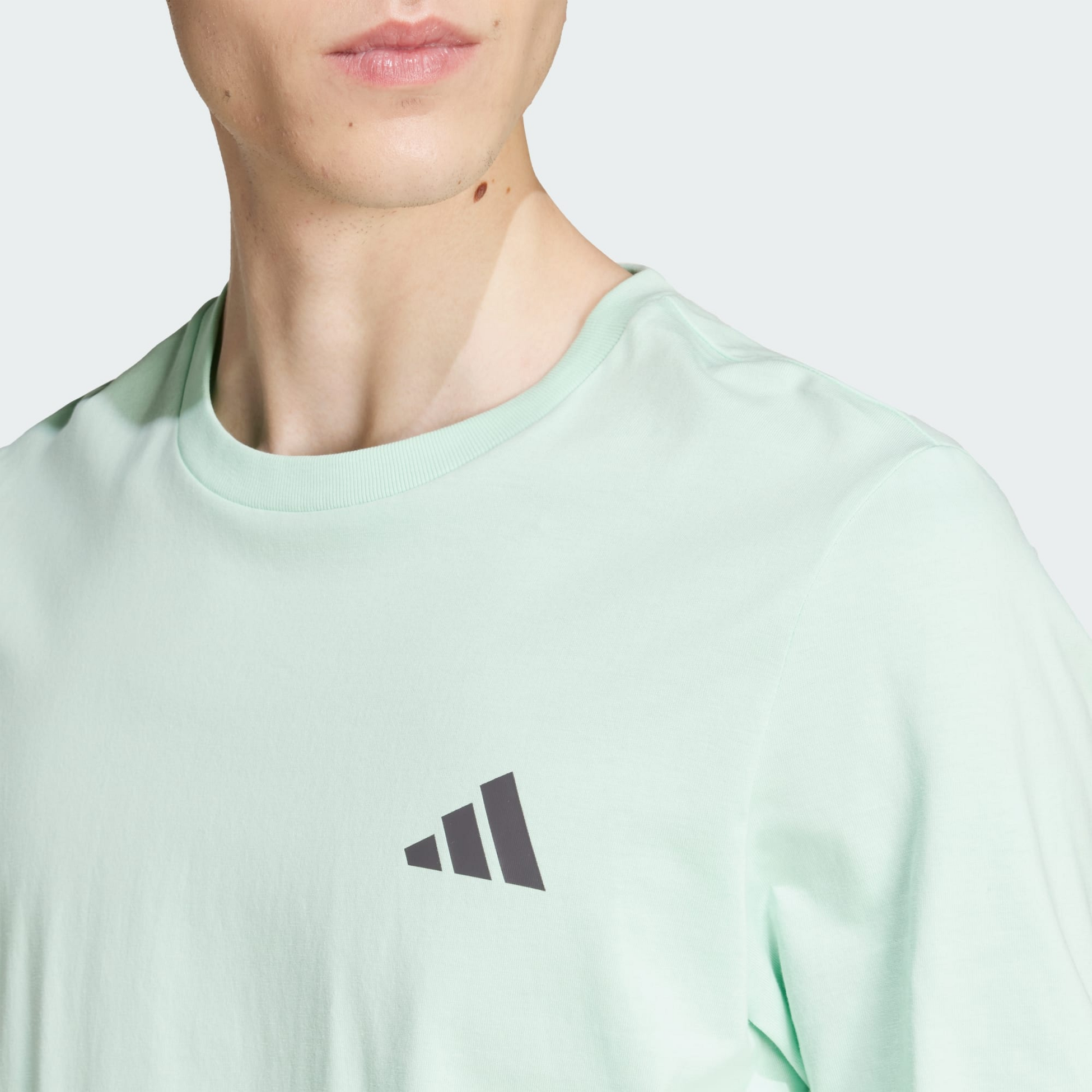 ADIDAS, Adidas Mercedes - Amg Petronas Formula One Team Premium Woven Graphic T-shirt