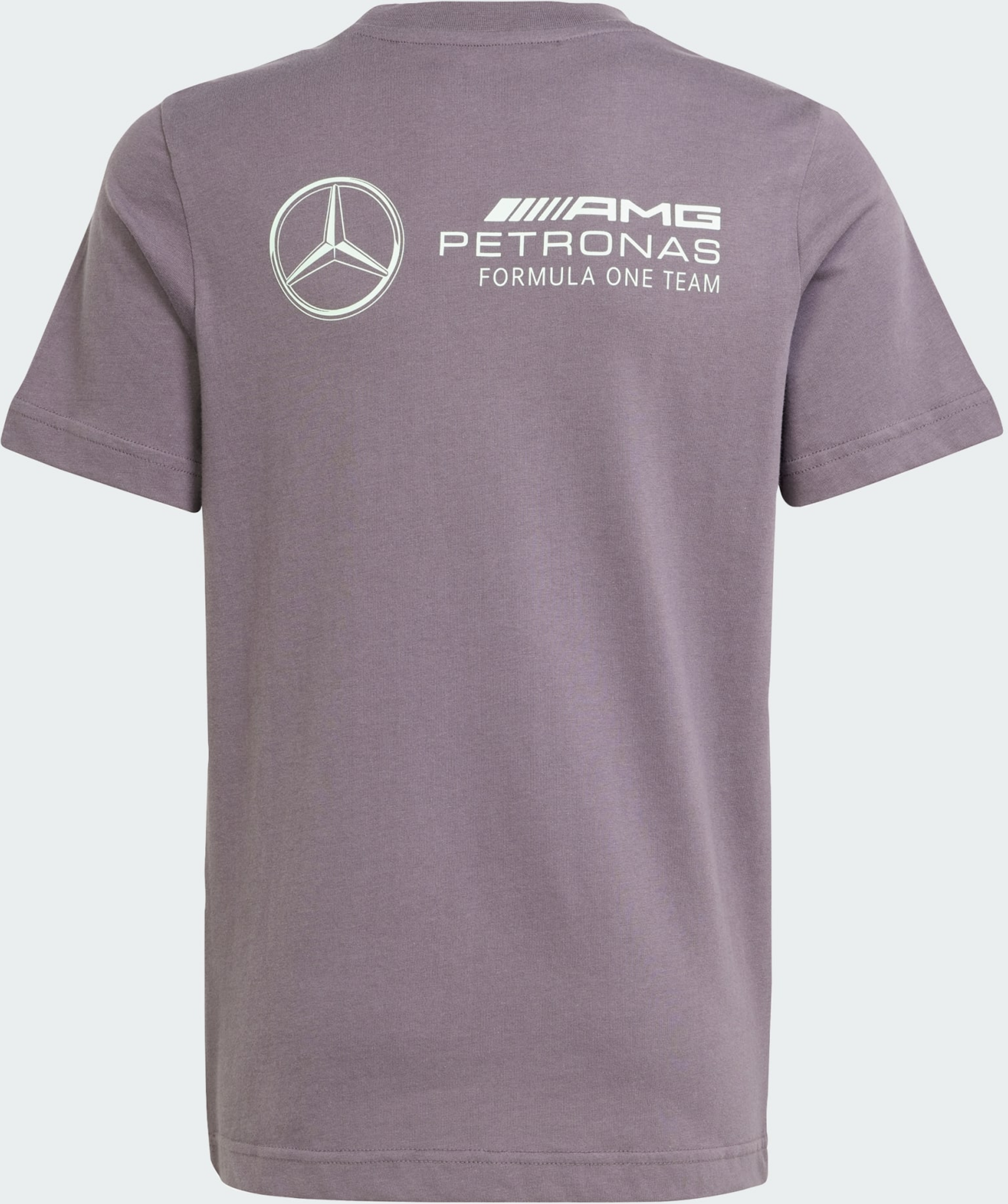 ADIDAS, Adidas Mercedes - Amg Petronas Formula One Team Premium Woven Graphic T-shirt