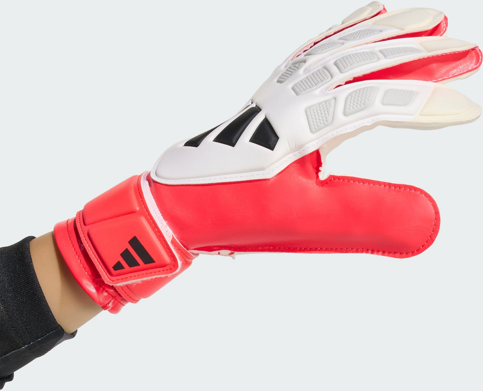 ADIDAS, Adidas Predator Goalkeeper Glove Training