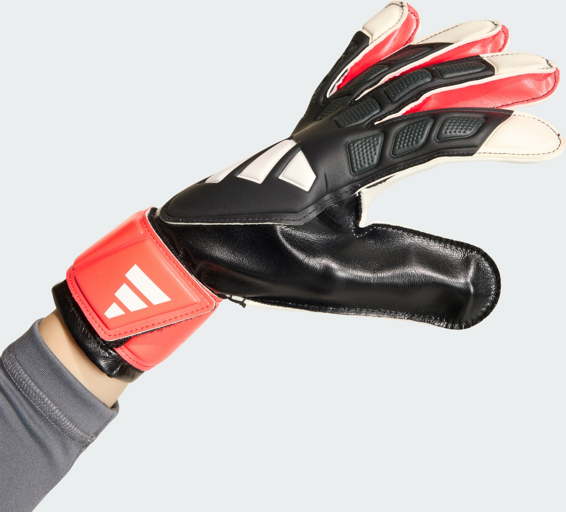 ADIDAS, Adidas Predator Goalkeeper Glove Training