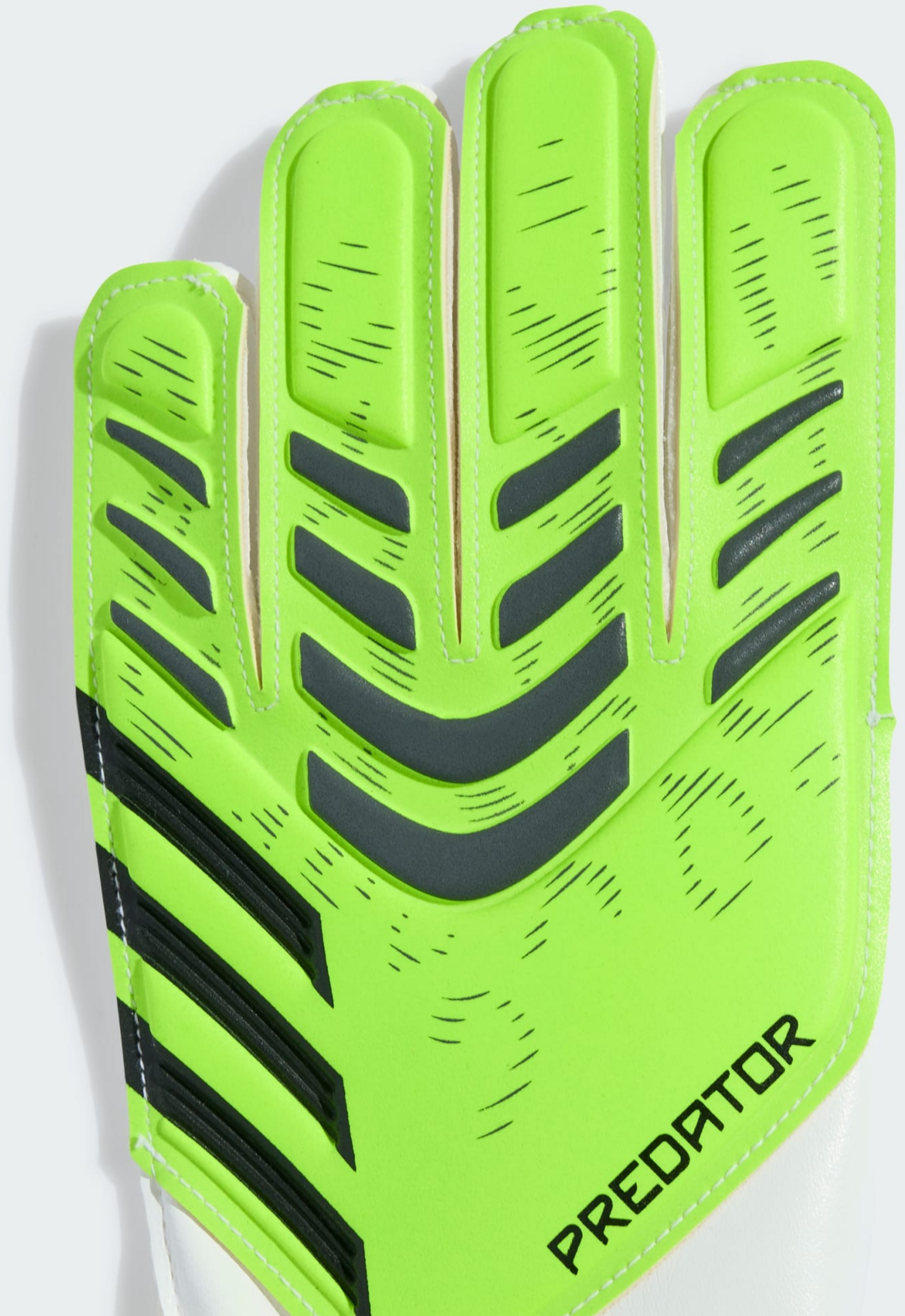 ADIDAS, Adidas Predator Training M&aring;lvaktshandskar Barn