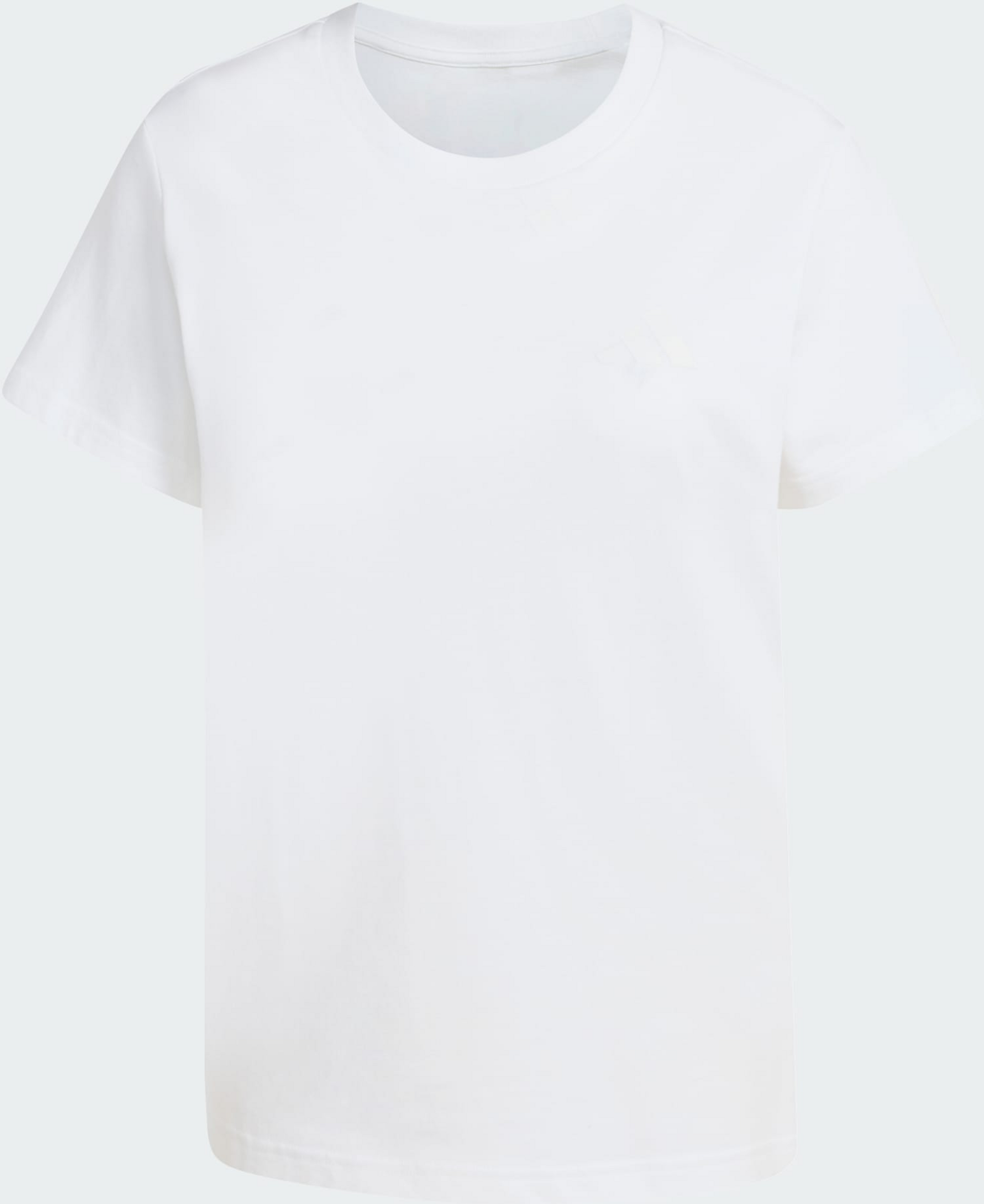 ADIDAS, Adidas Terrex Mountain Graphic T-shirt