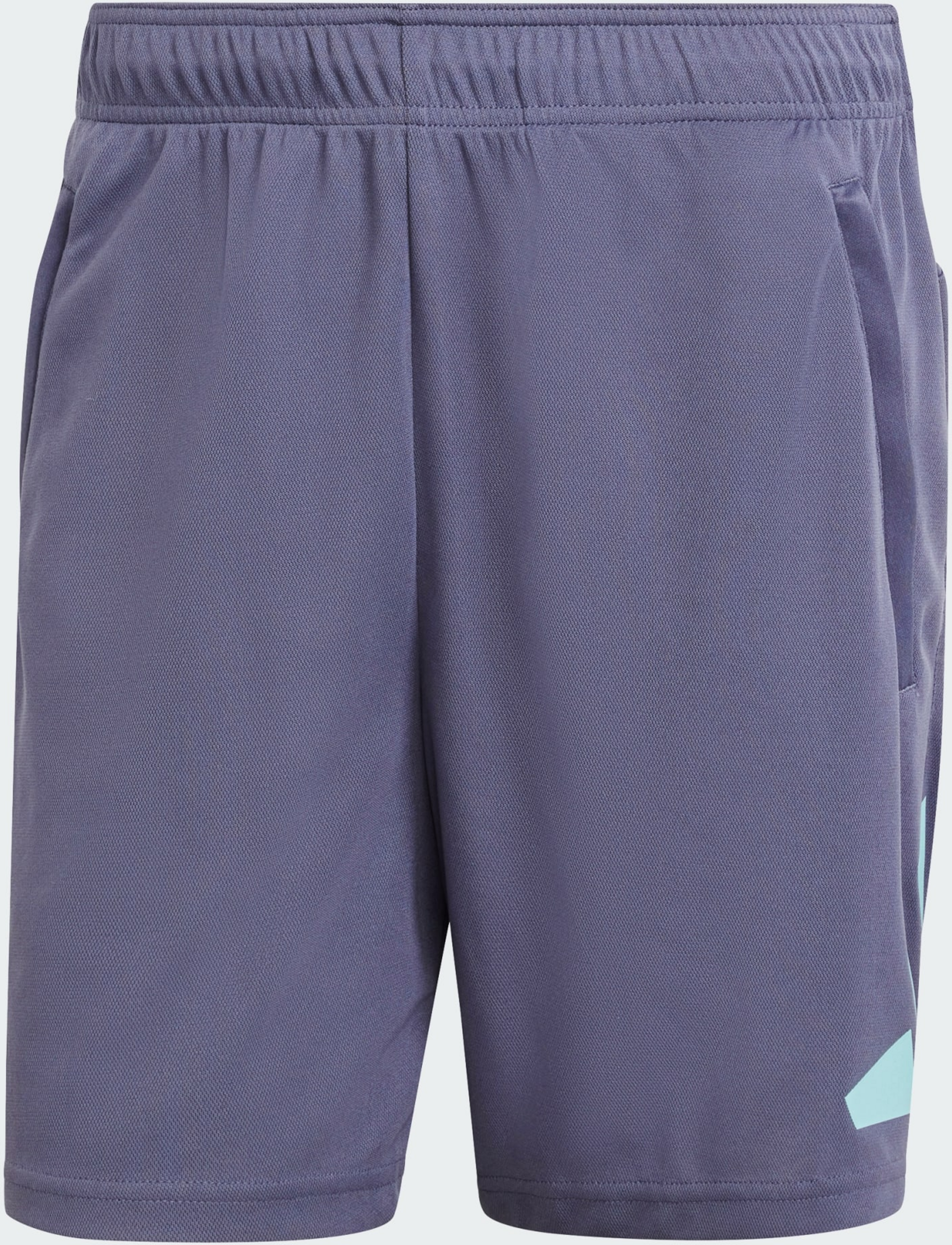 ADIDAS, Adidas Train Essentials Logo Träningsshorts