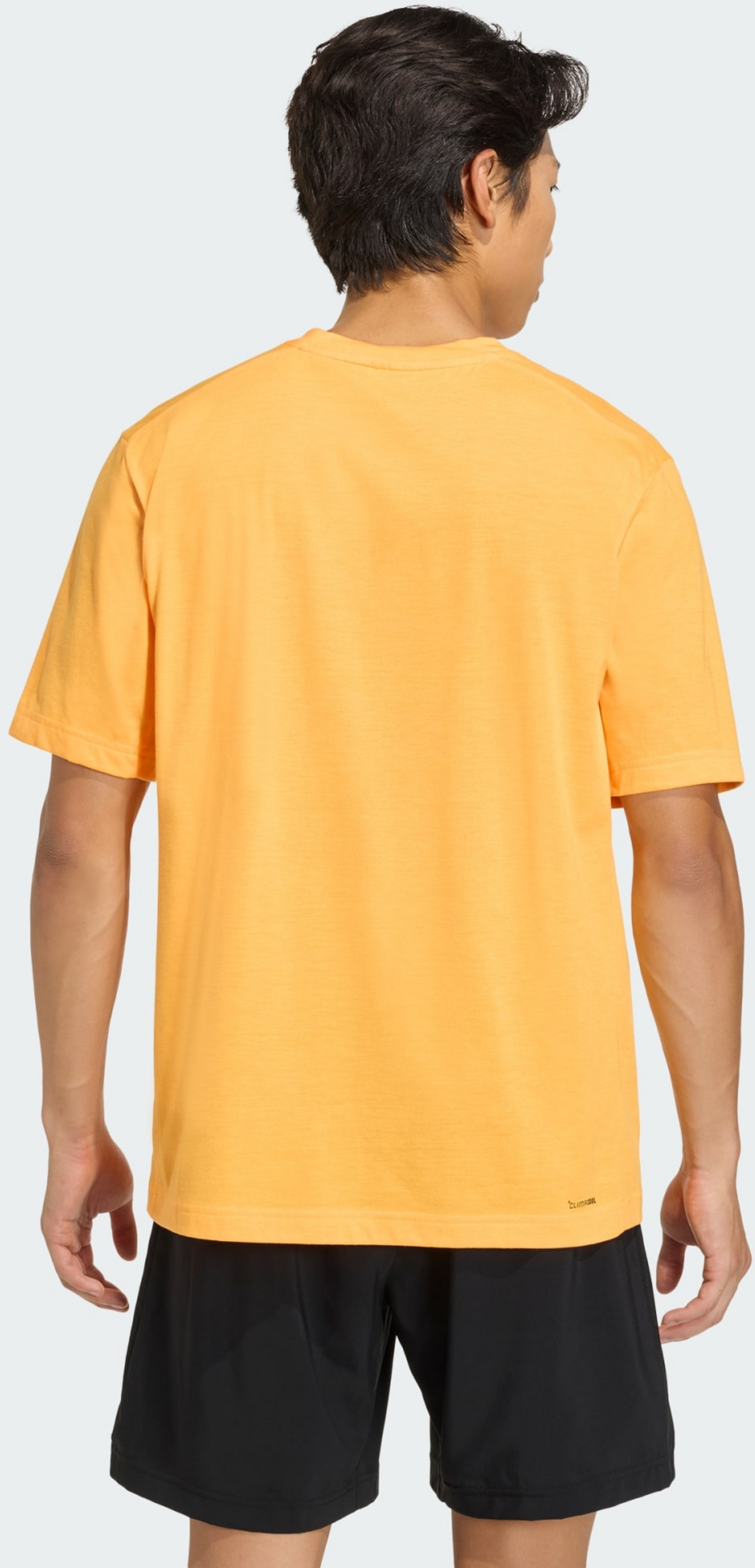 ADIDAS, Adidas Workout Essentials Feelready T-shirt