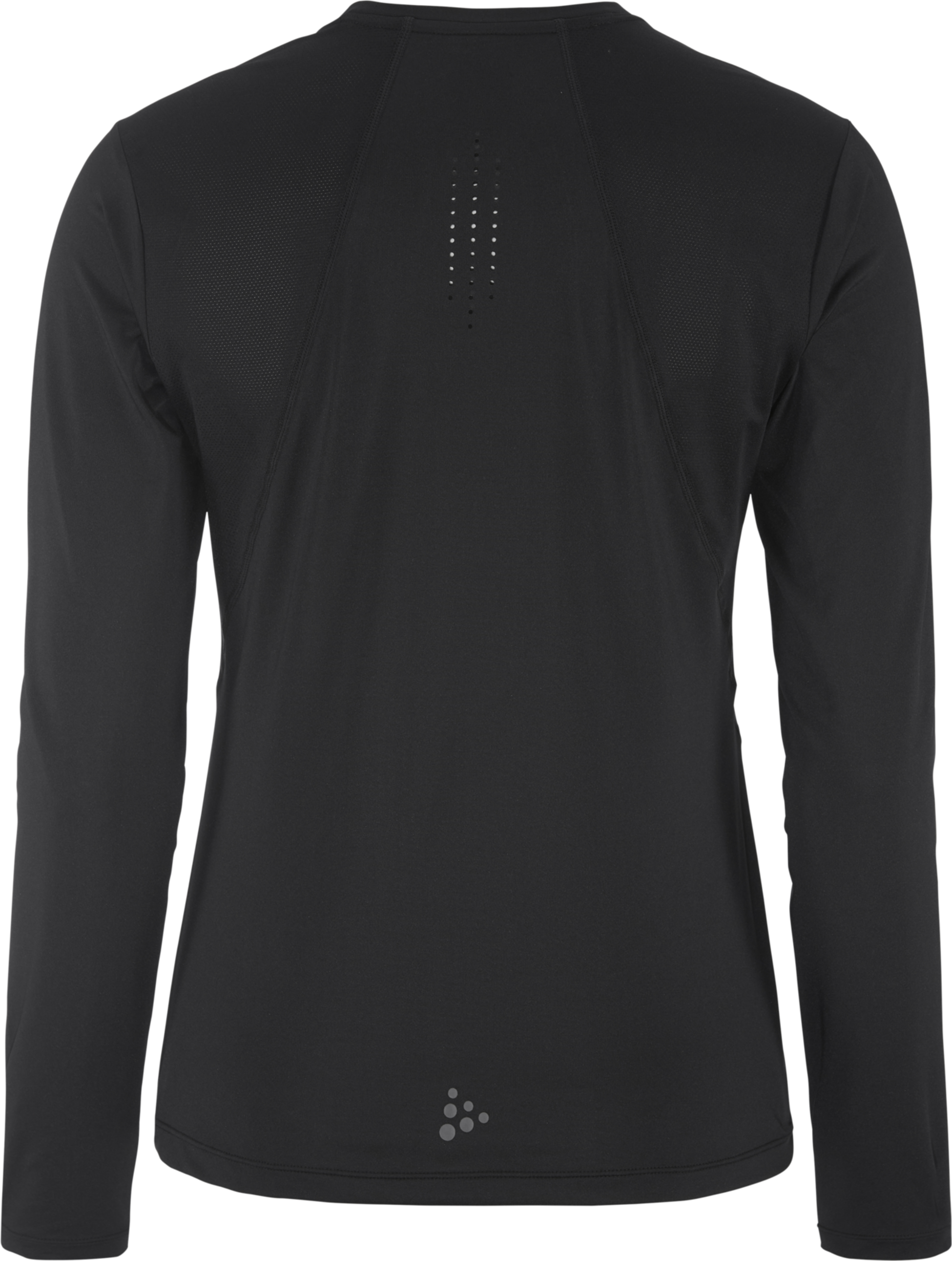 CRAFT, Adv Essence Ls Tee 2 W