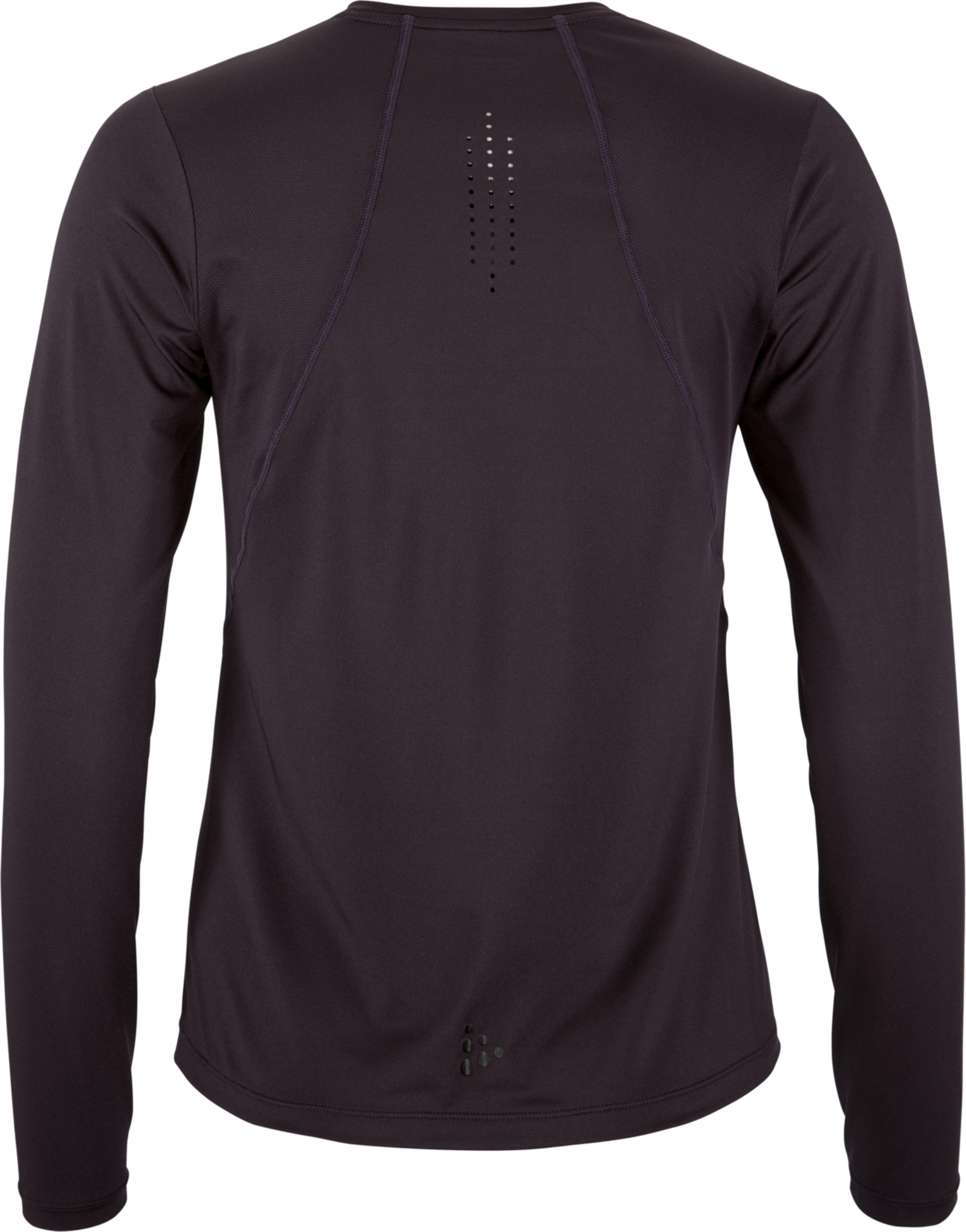 CRAFT, Adv Essence Ls Tee 2 W