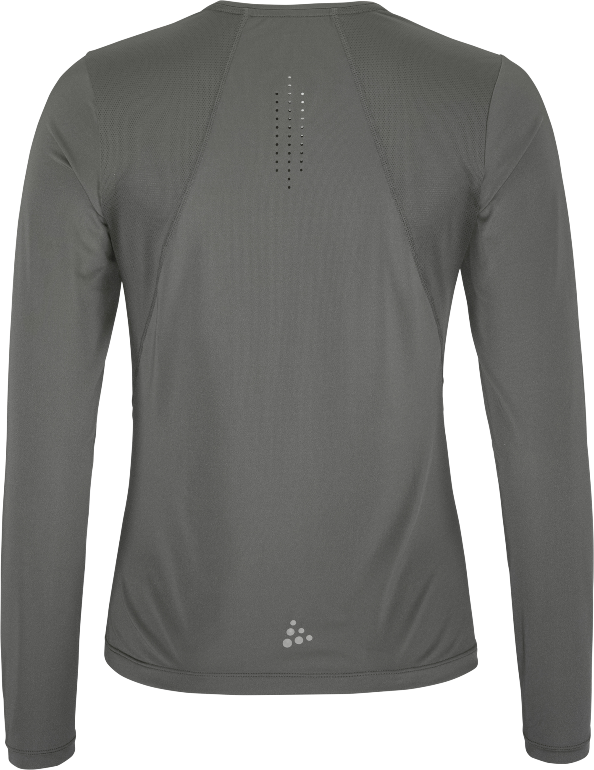 CRAFT, Adv Essence Ls Tee 2 W