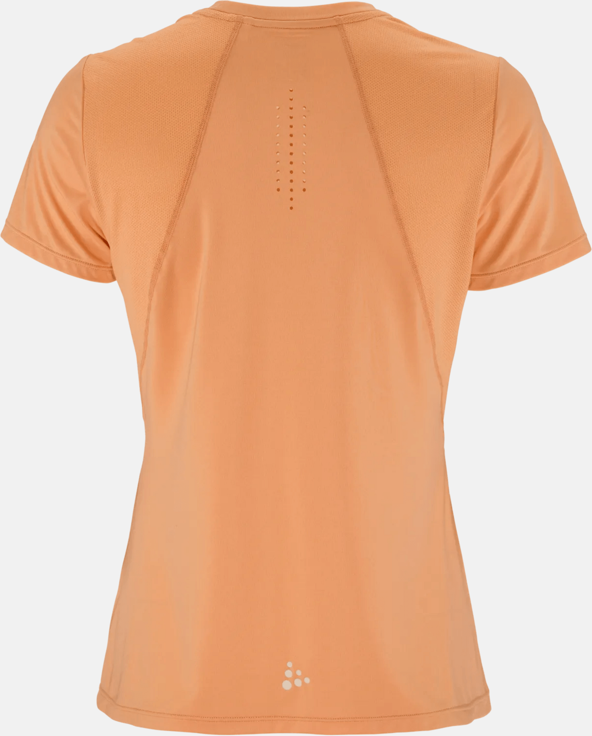 CRAFT, Adv Essence Ss Tee 2 W