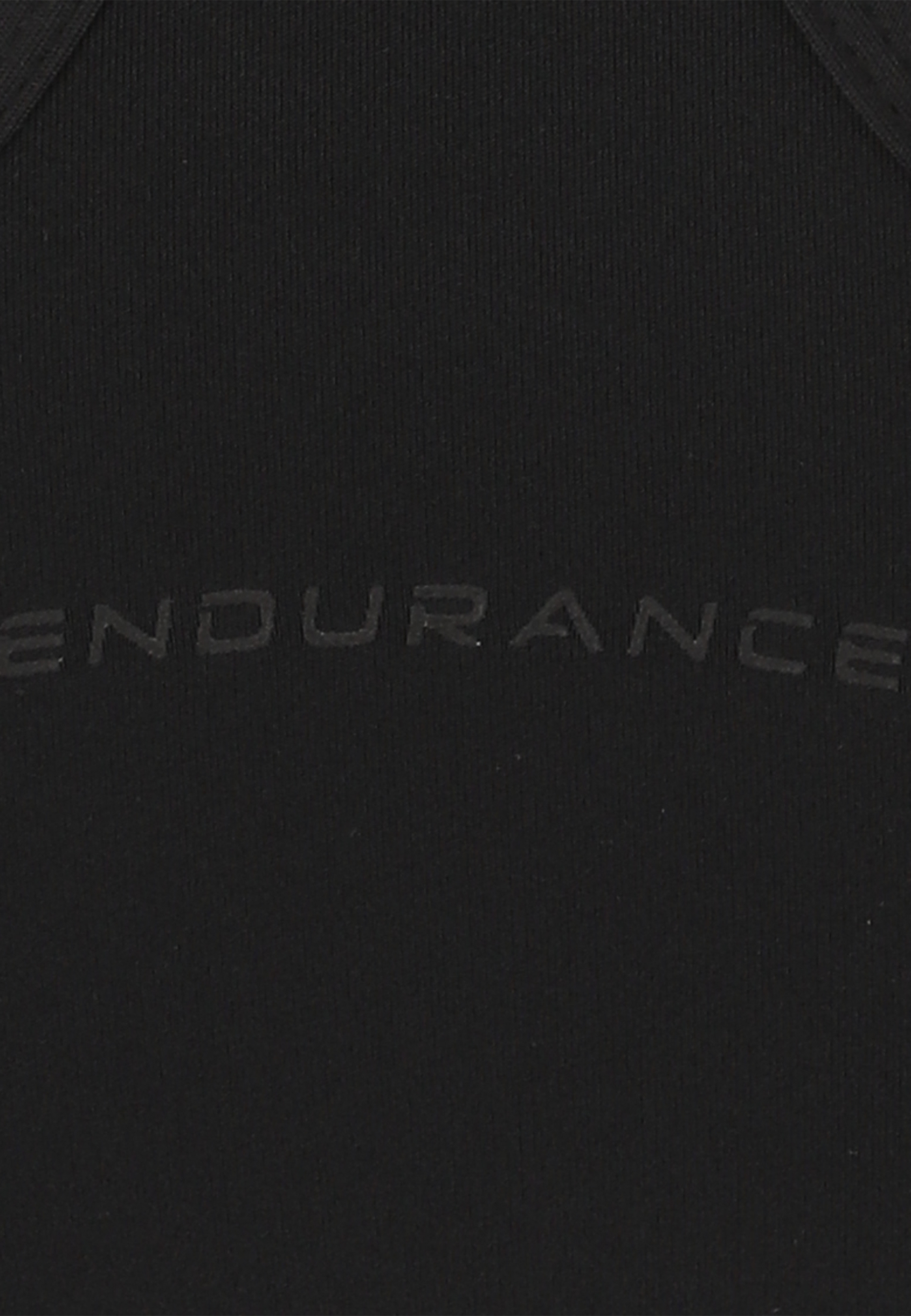 ENDURANCE, Alanie