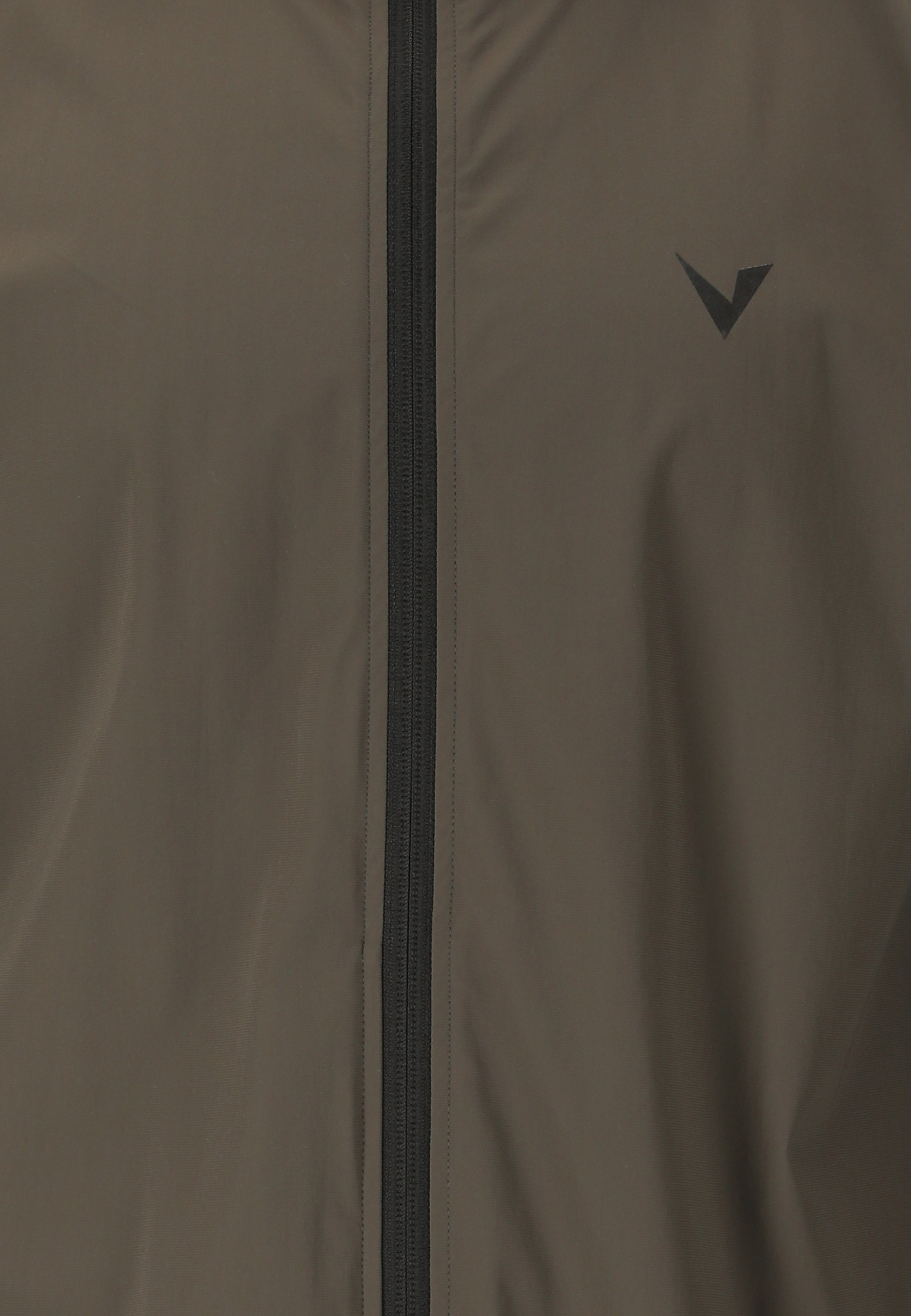 VIRTUS, Alonso V2