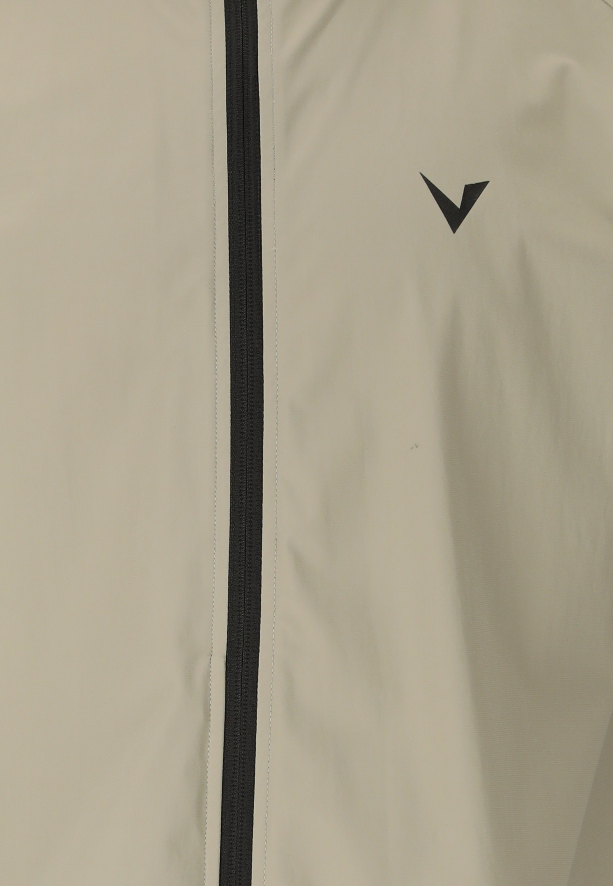 VIRTUS, Alonso V2