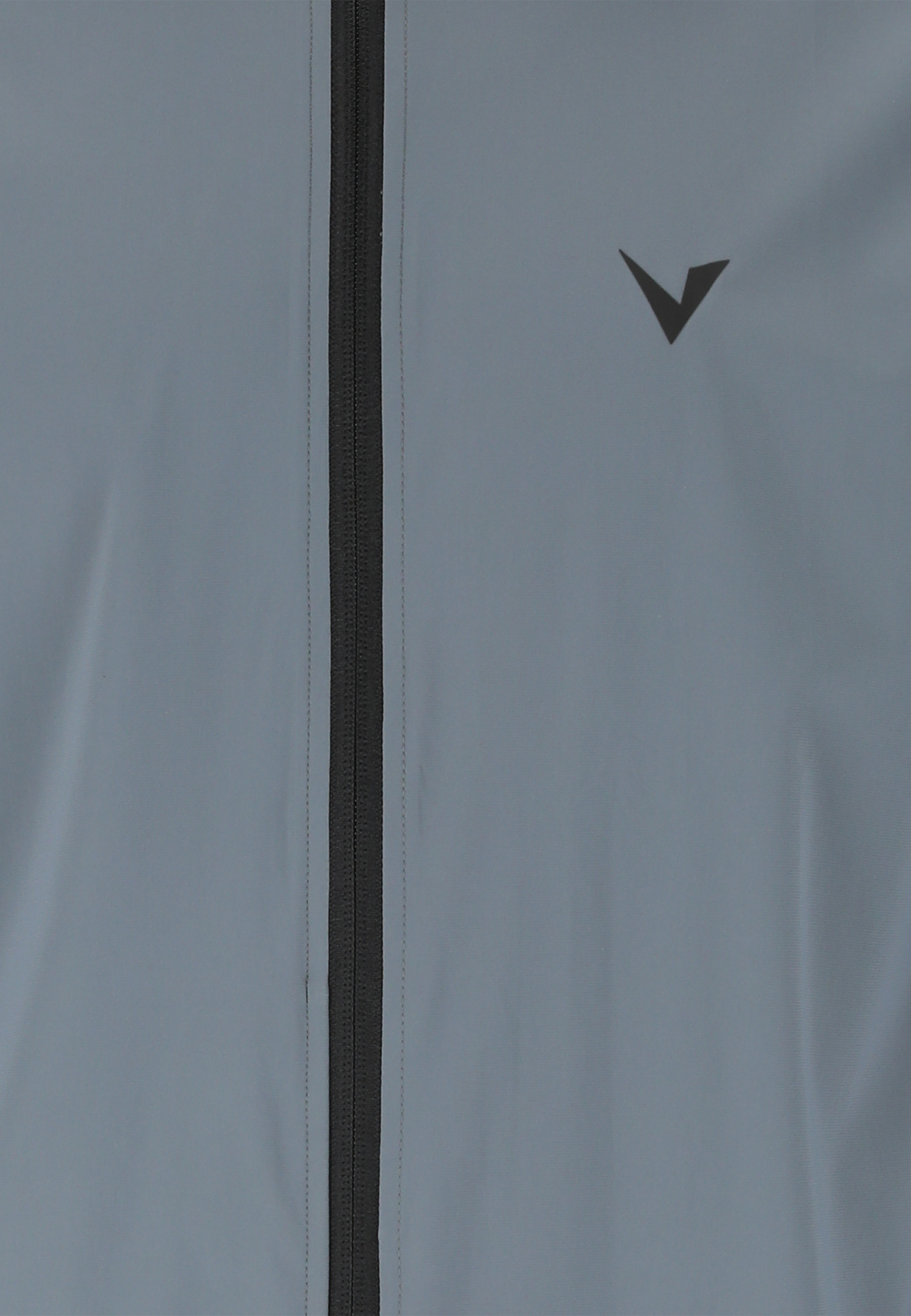 VIRTUS, Alonso V2