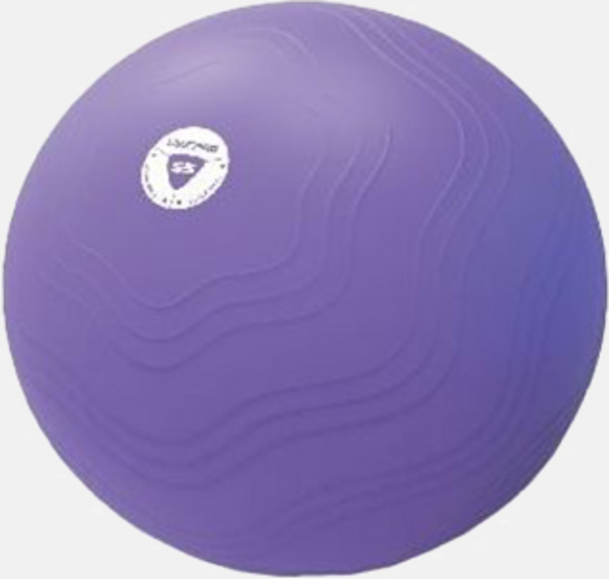 LIVEPRO, Anti-burst Core Fit Exercise Ball 55cm
