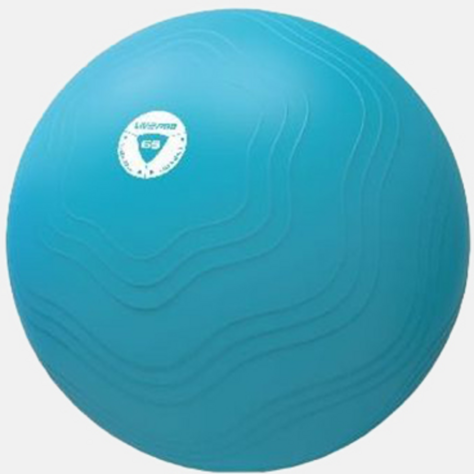 LIVEPRO, Anti-burst Core Fit Exercise Ball 65cm