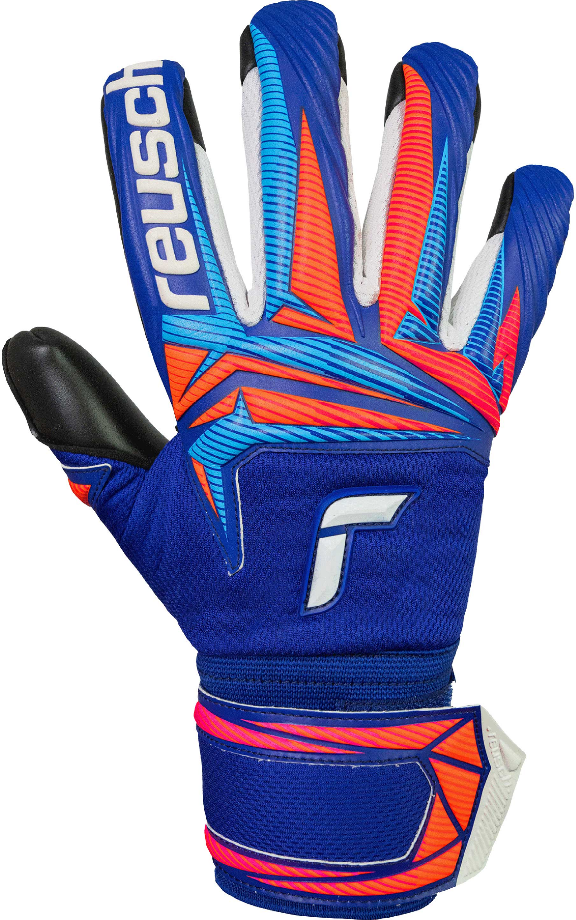 REUSCH, Attrakt Infinity Evolution Nc