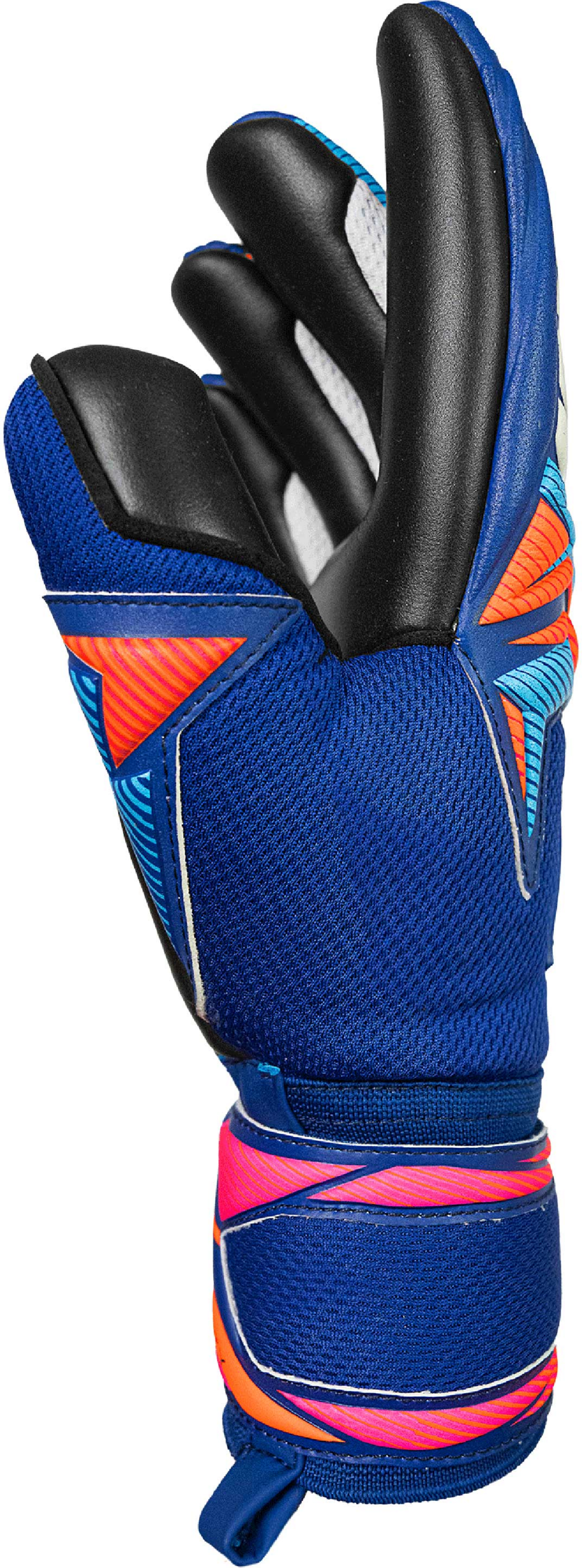 REUSCH, Attrakt Infinity Evolution Nc