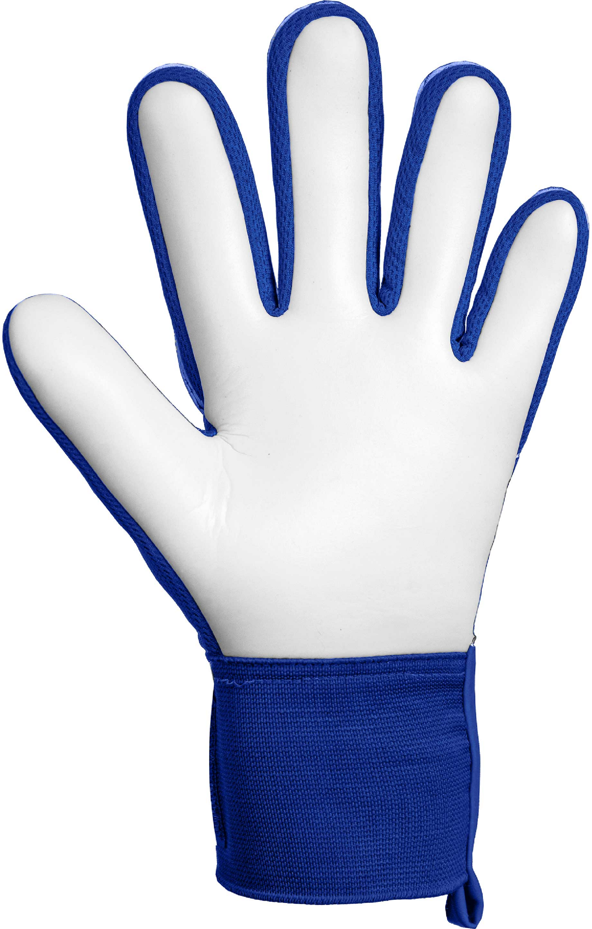 REUSCH, Attrakt Starter Solid