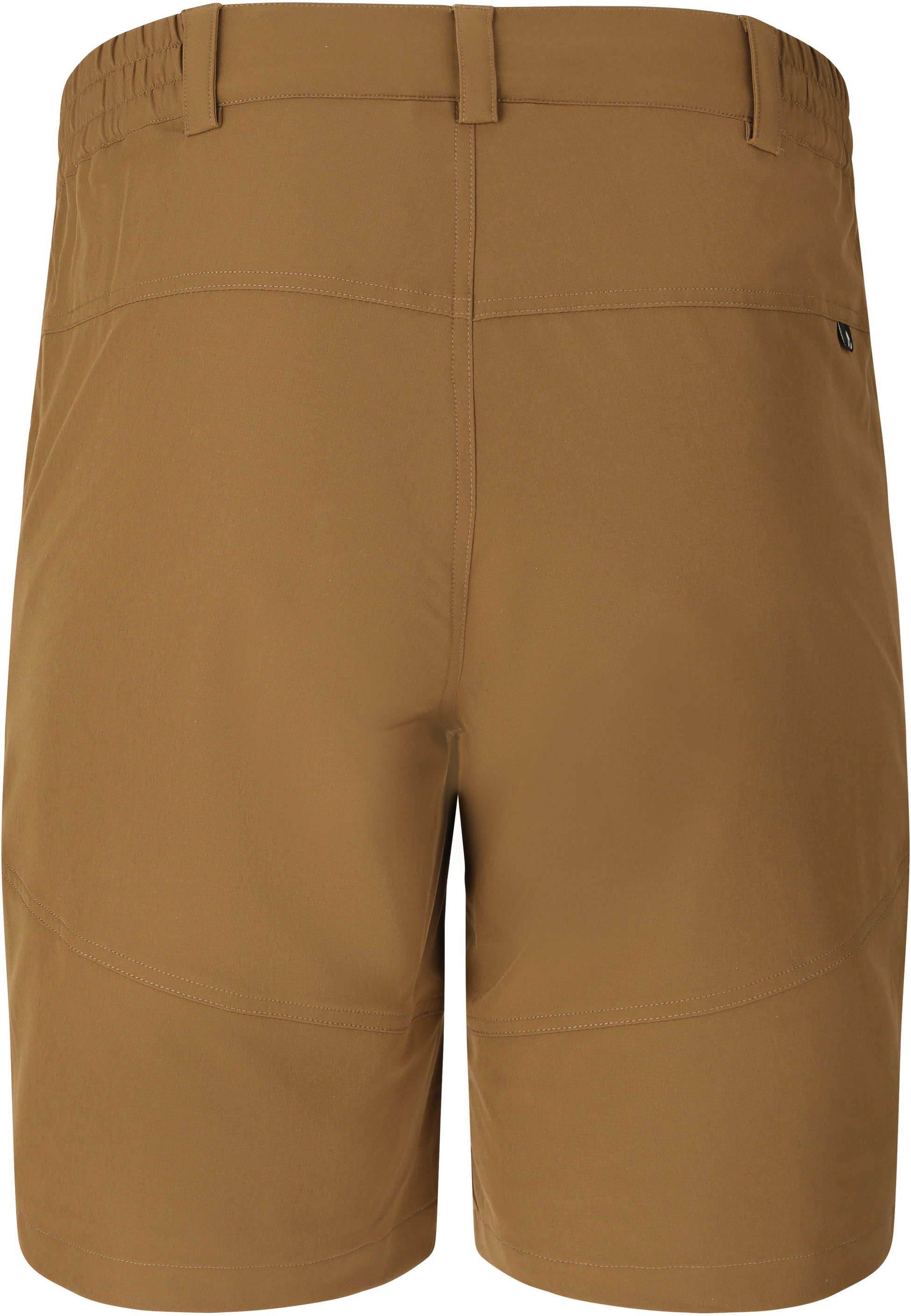WHISTLER, Avian M Activ Stretch Trekking Shorts