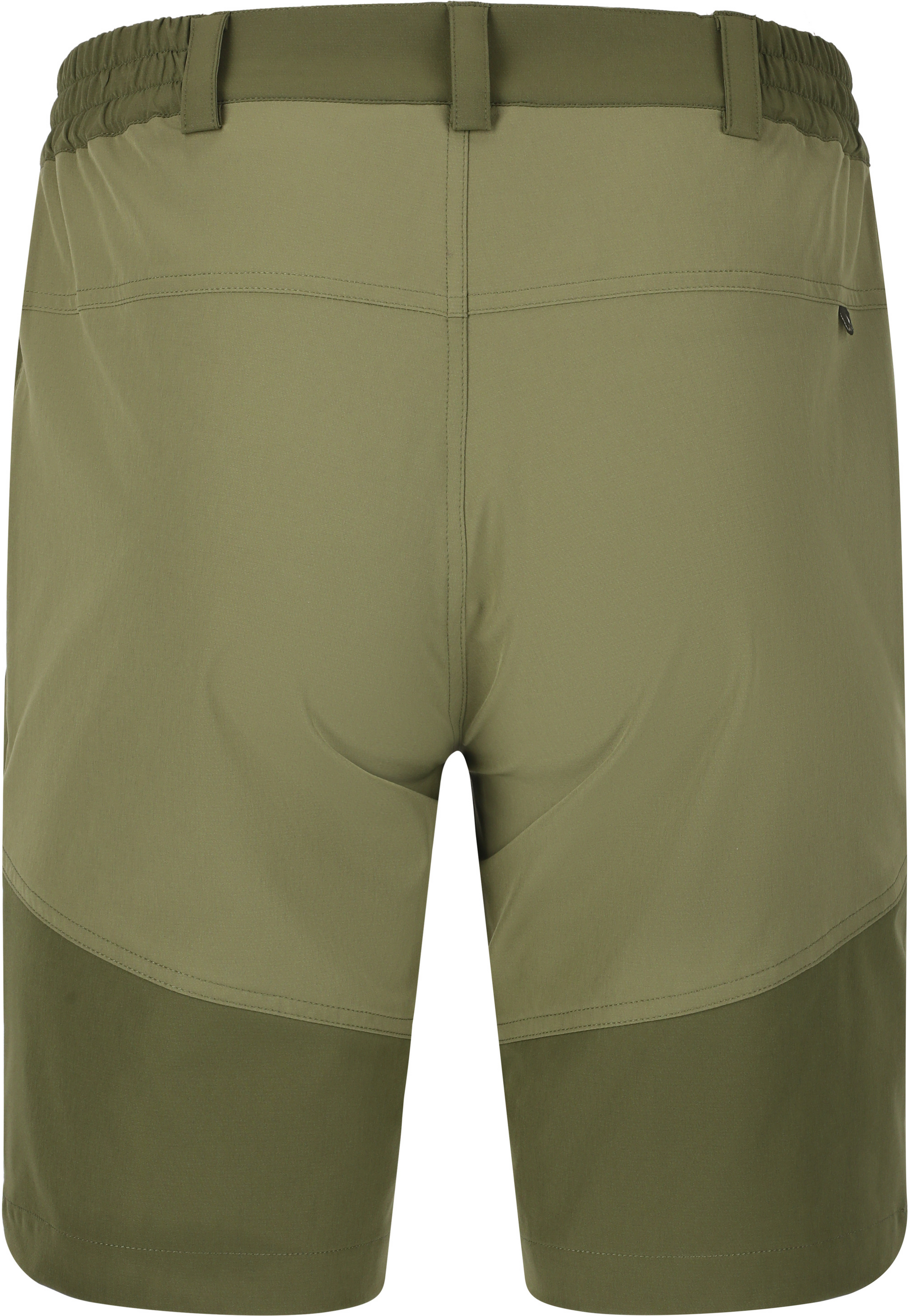 WHISTLER, Avian M Activ Stretch Trekking Shorts