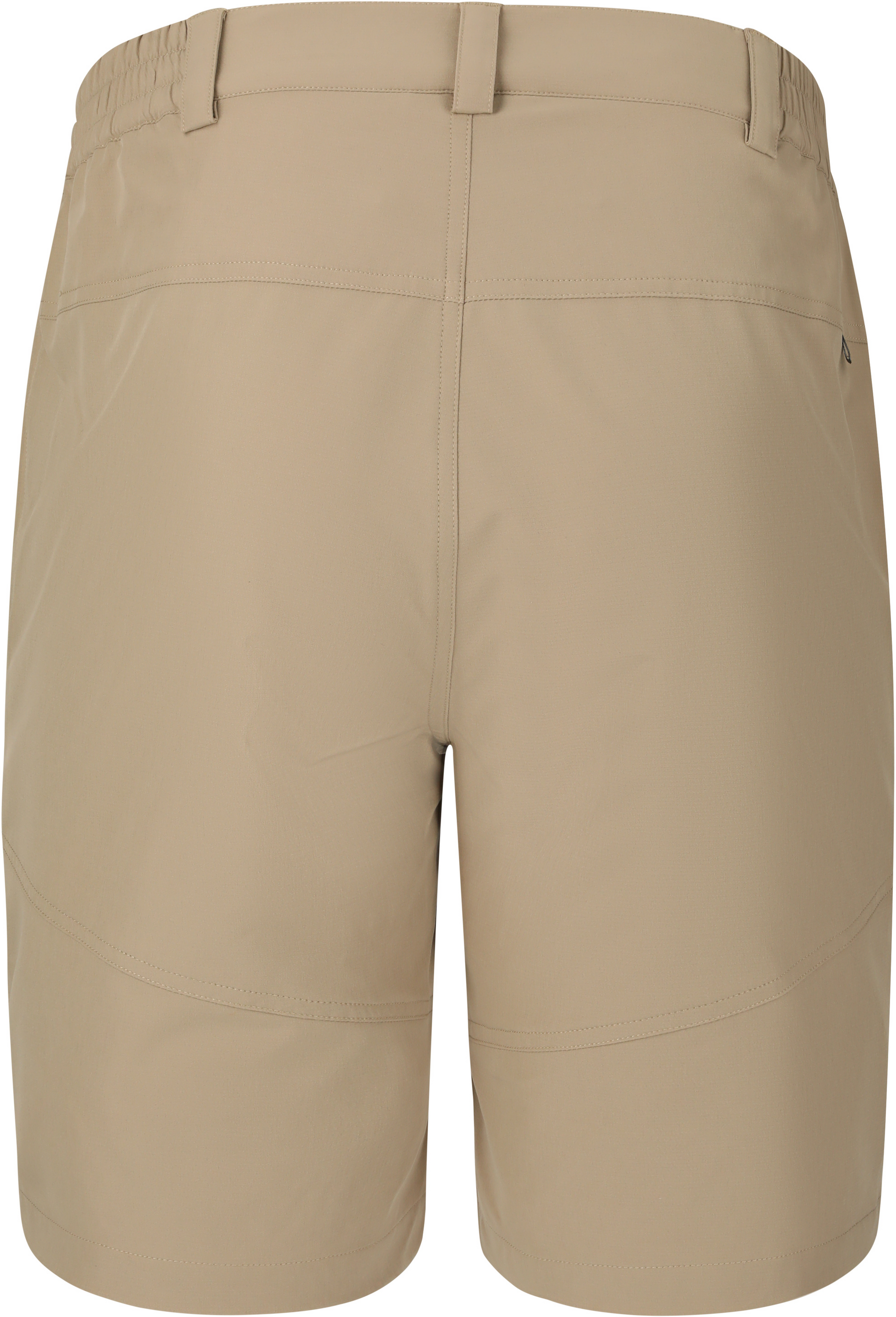 WHISTLER, Avian M Activ Stretch Trekking Shorts