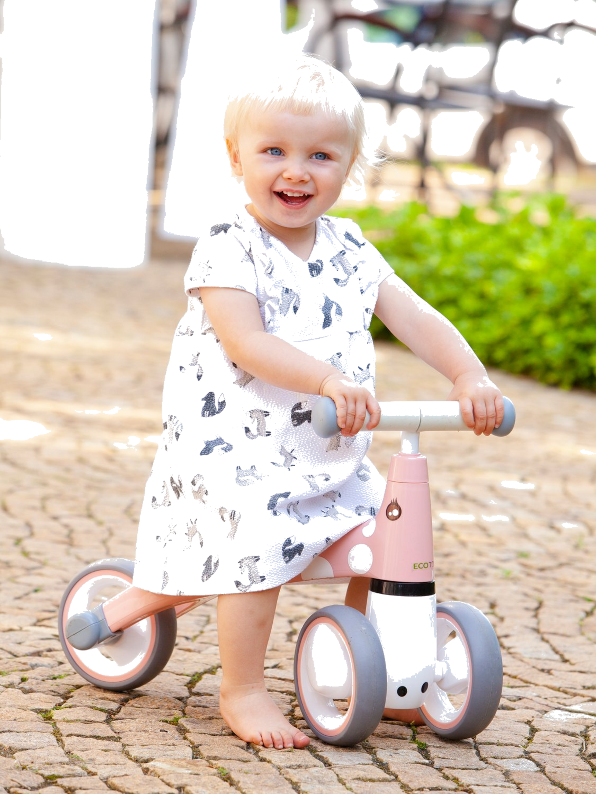 B2X, Balance Bike "flaming" Ecotoys