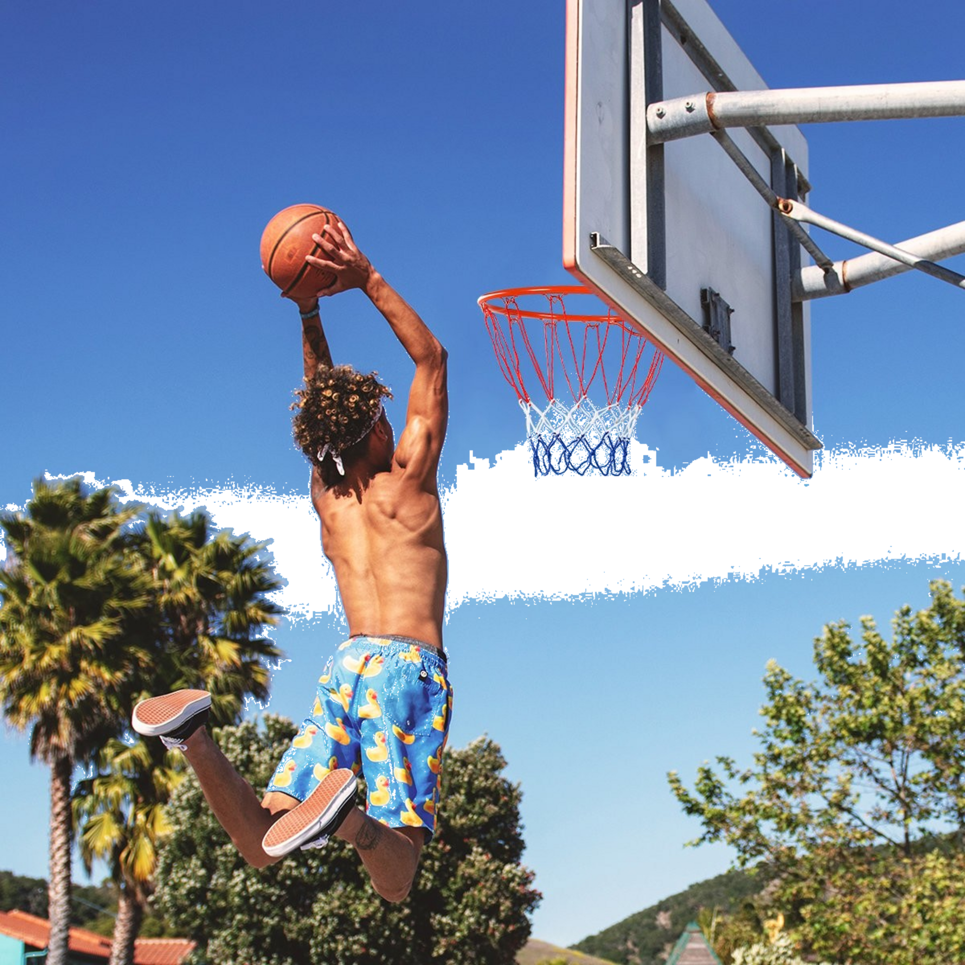 B2X, Basketball Hoop Wall Mounted Basketball Hoop Professional Dunking Basketball Hoop For Indoor And Out