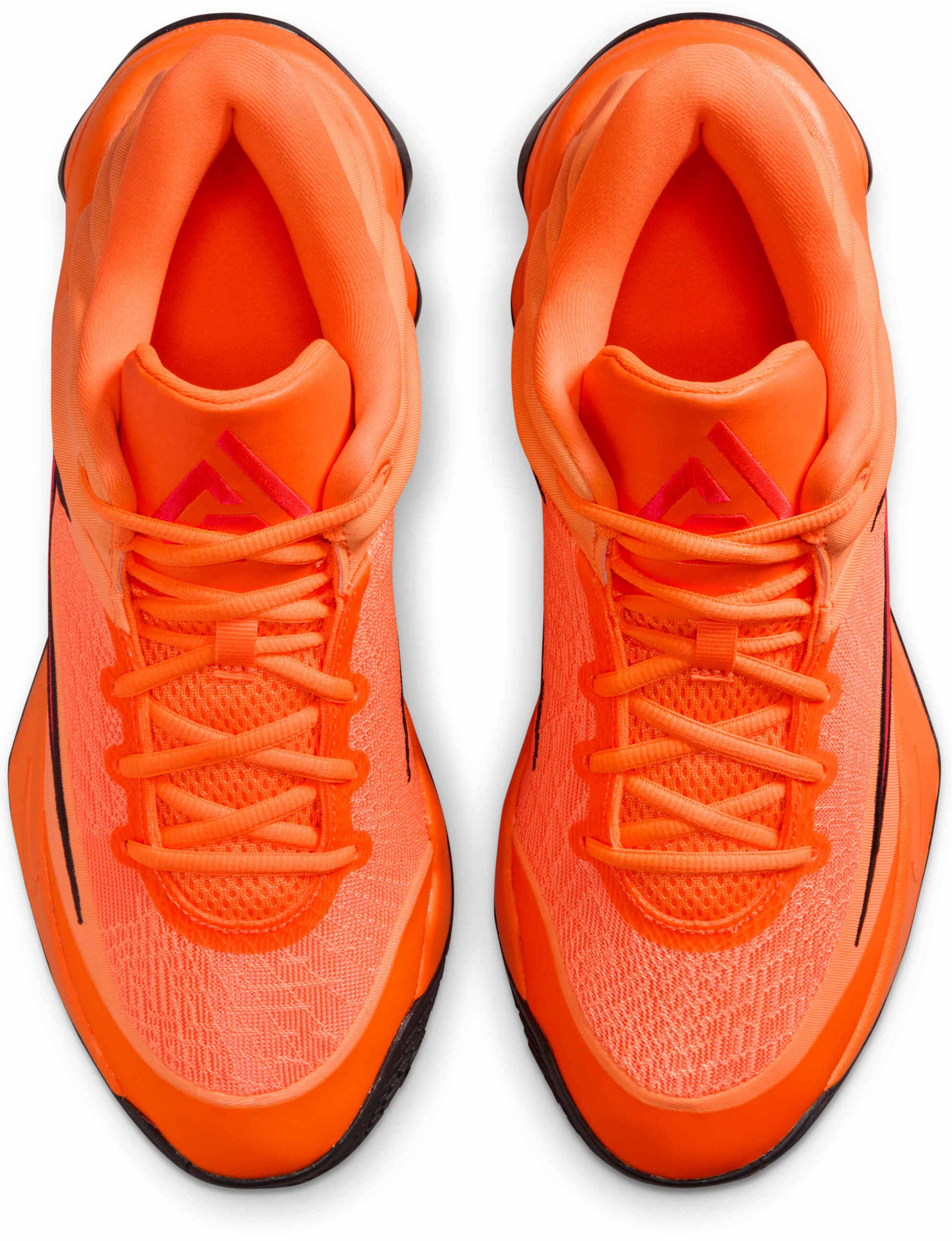 NIKE, Basketball Shoes Giannis Immortality 4