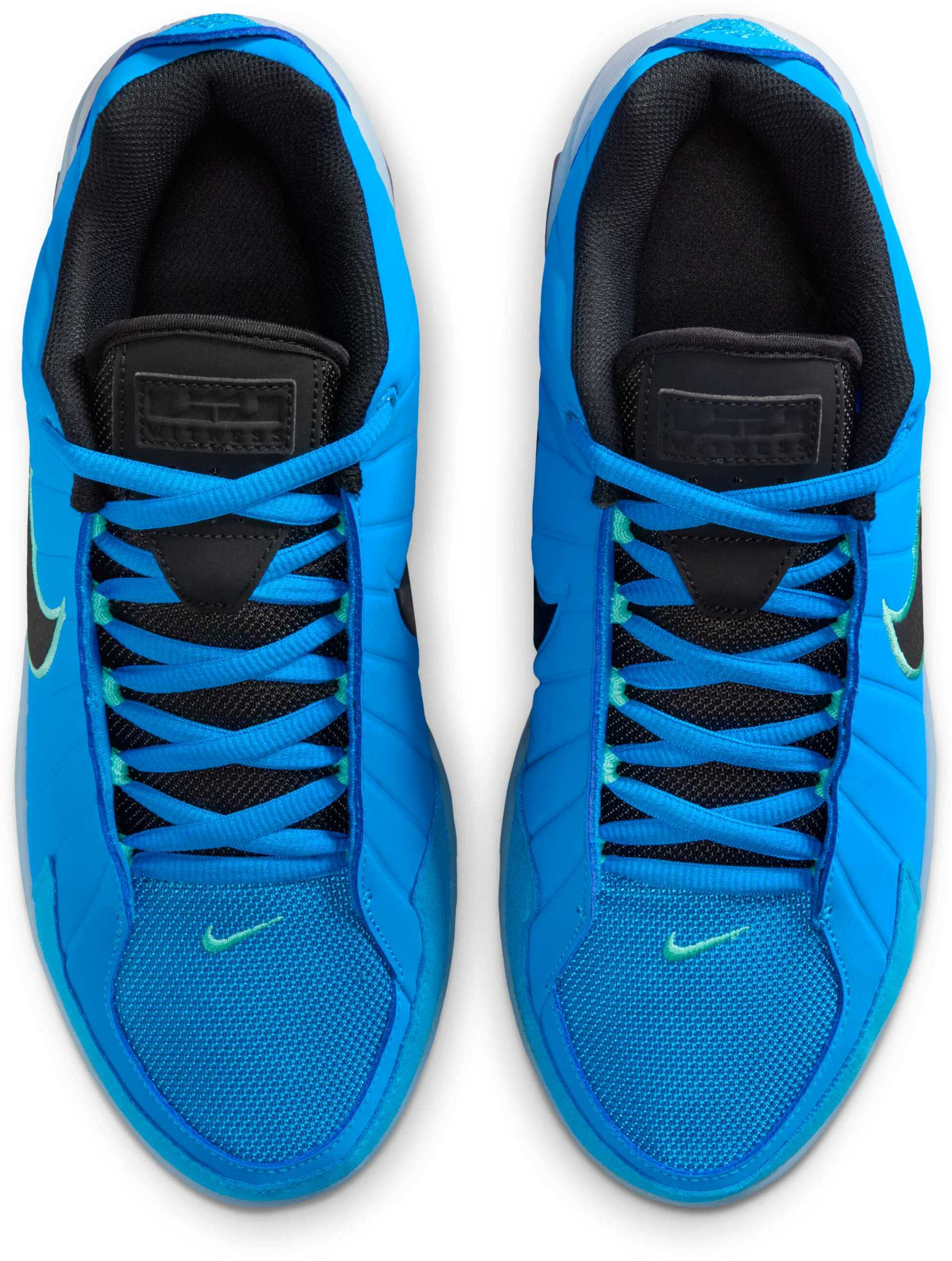 NIKE, Basketball Shoes Lebron Witness 9