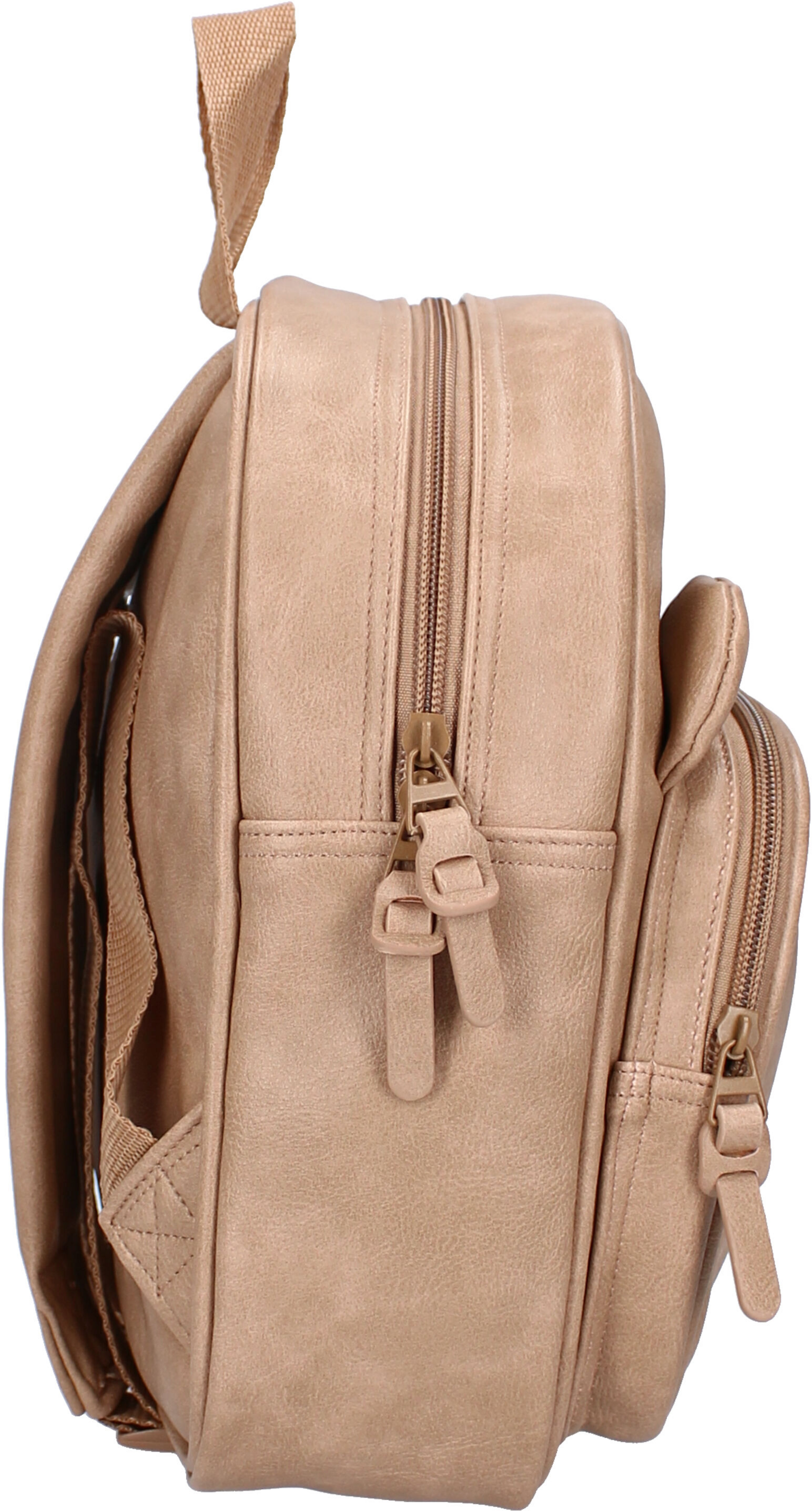 VADOBAG, Beary Excited