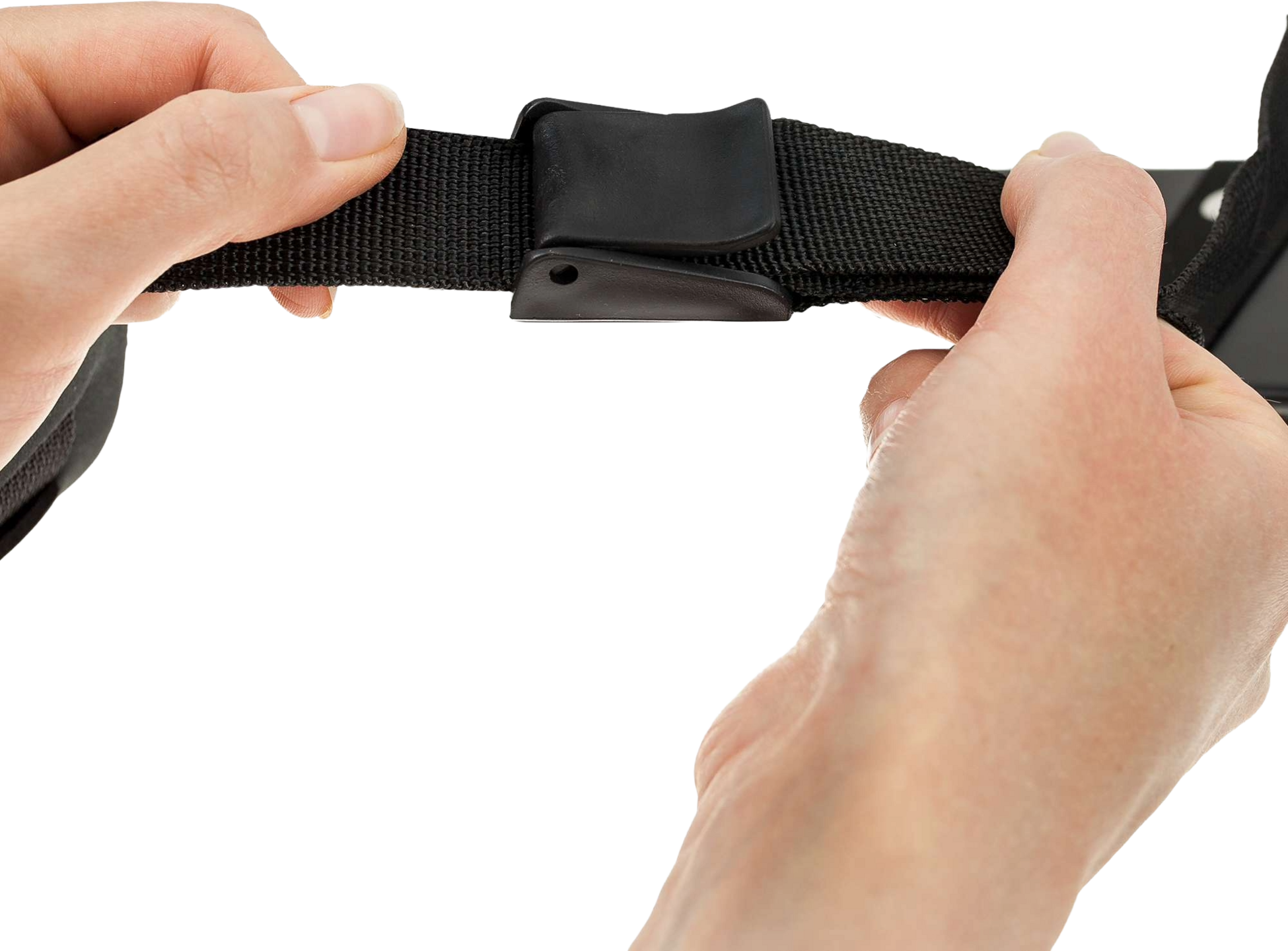 C.P. SPORTS, Biceps Blaster