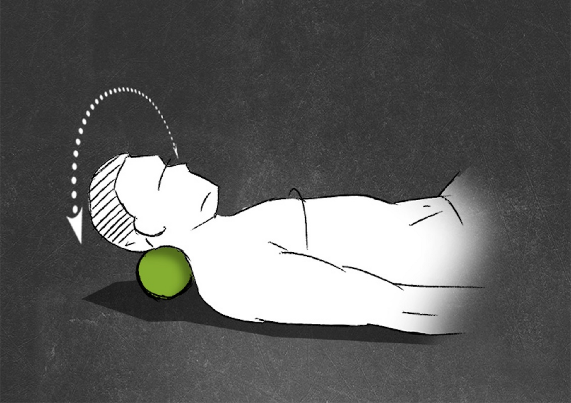 BLACKROLL, Blackroll Duo08 Foam Roll/fascia Ball