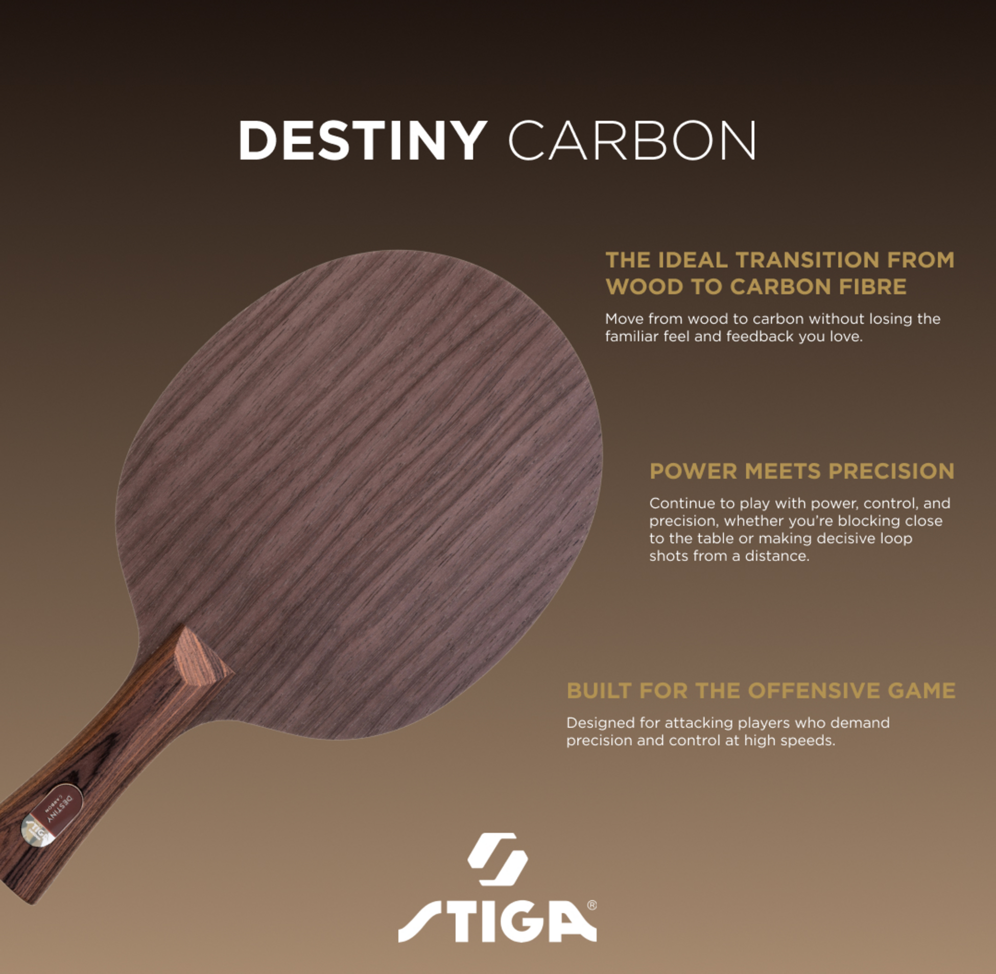 STIGA, Blade Destiny Carbon - Master