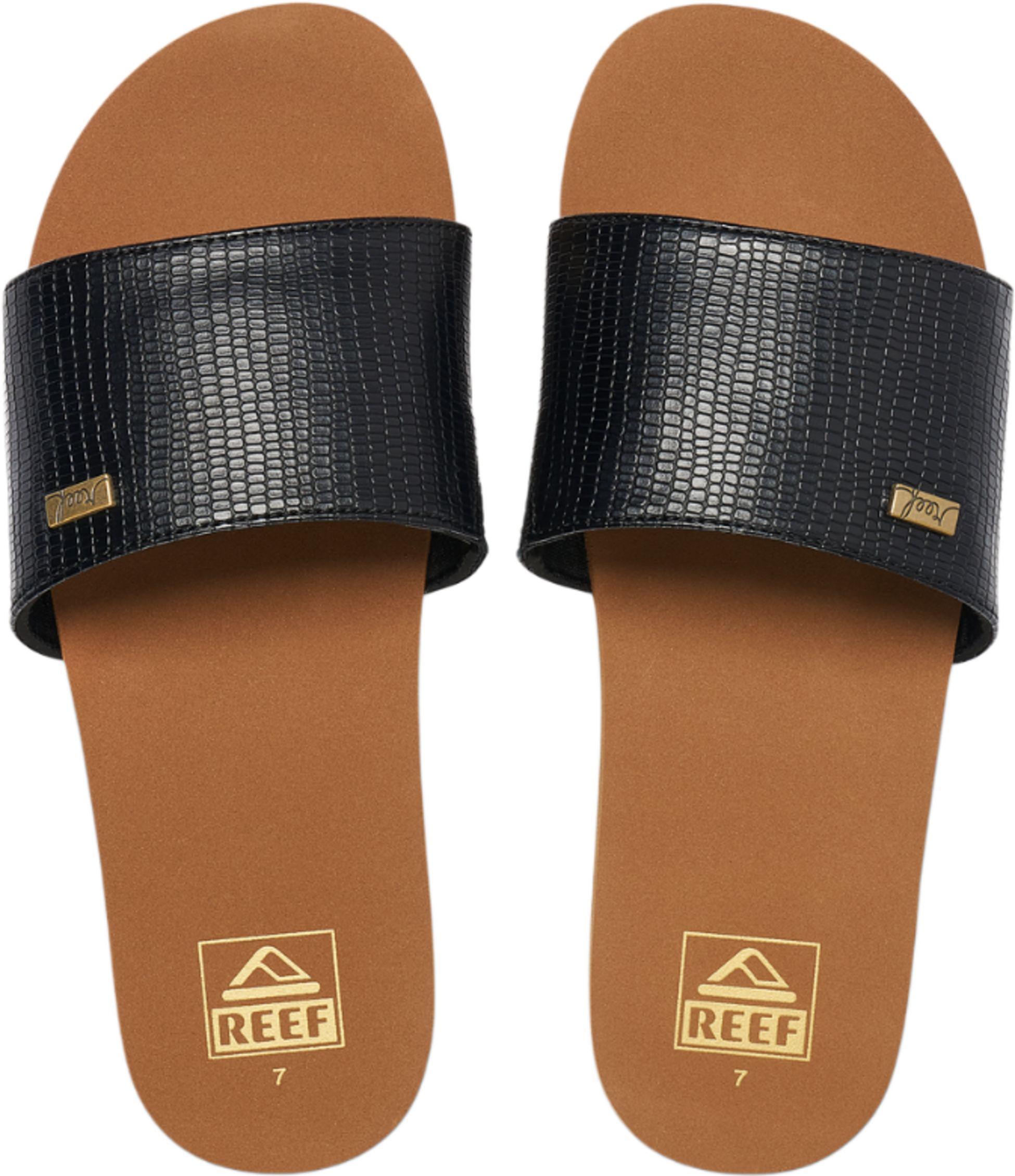 REEF, Bliss Nights Slide