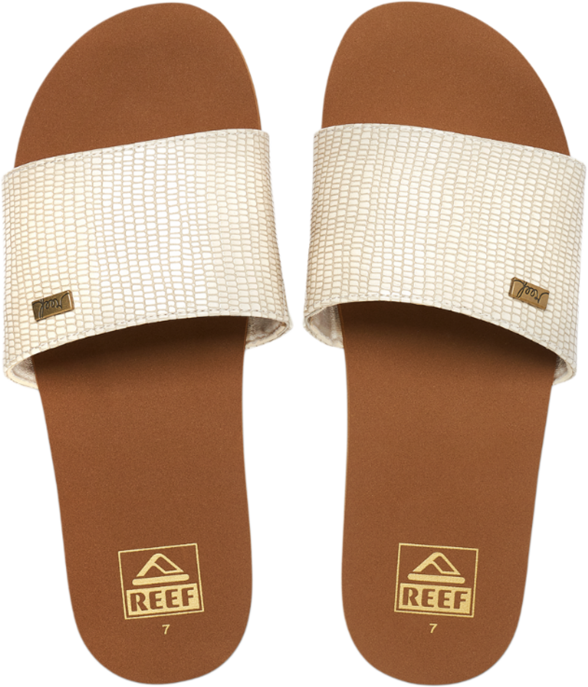 REEF, Bliss Nights Slide