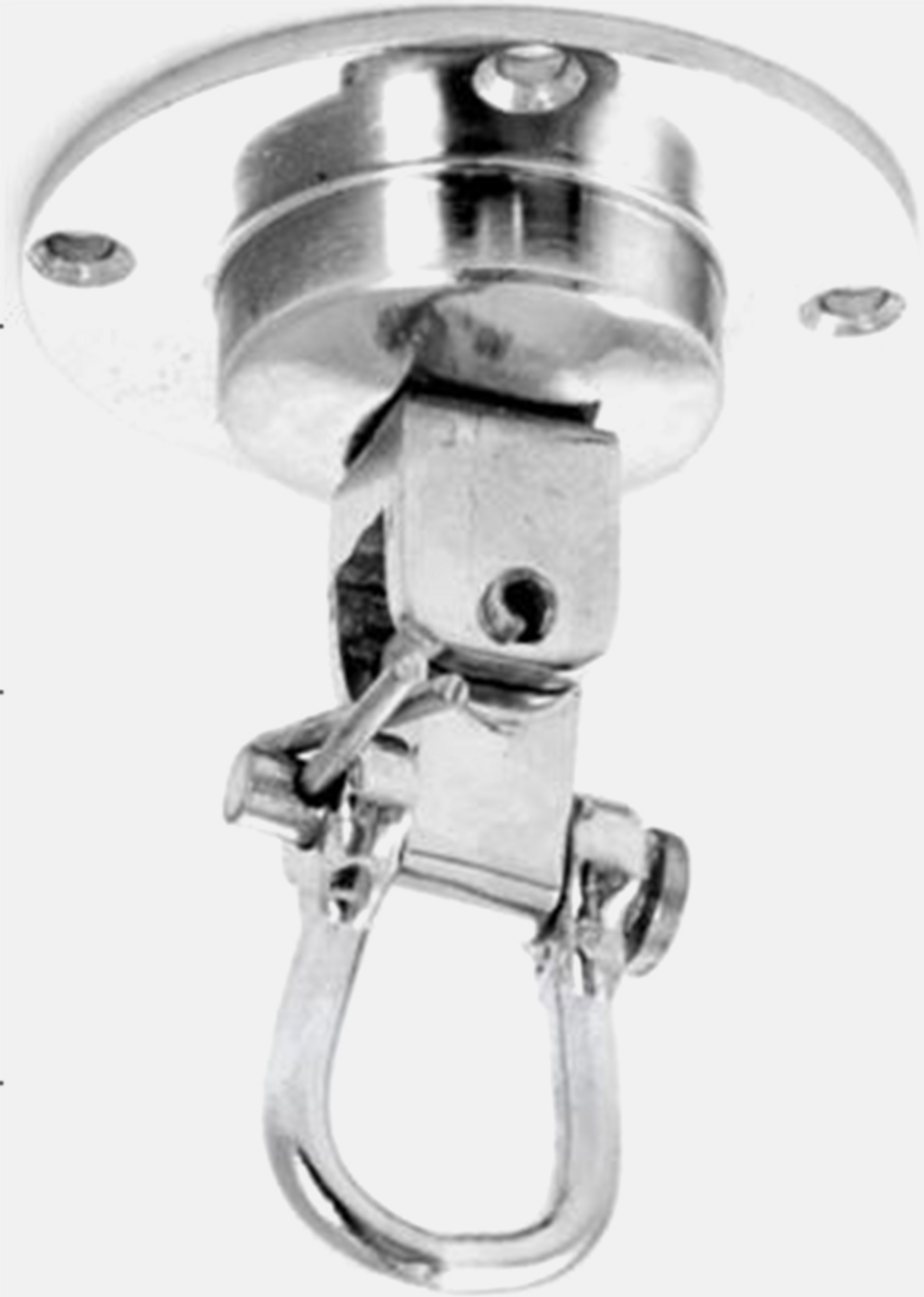 BRUTE, Brute Professional Swivel