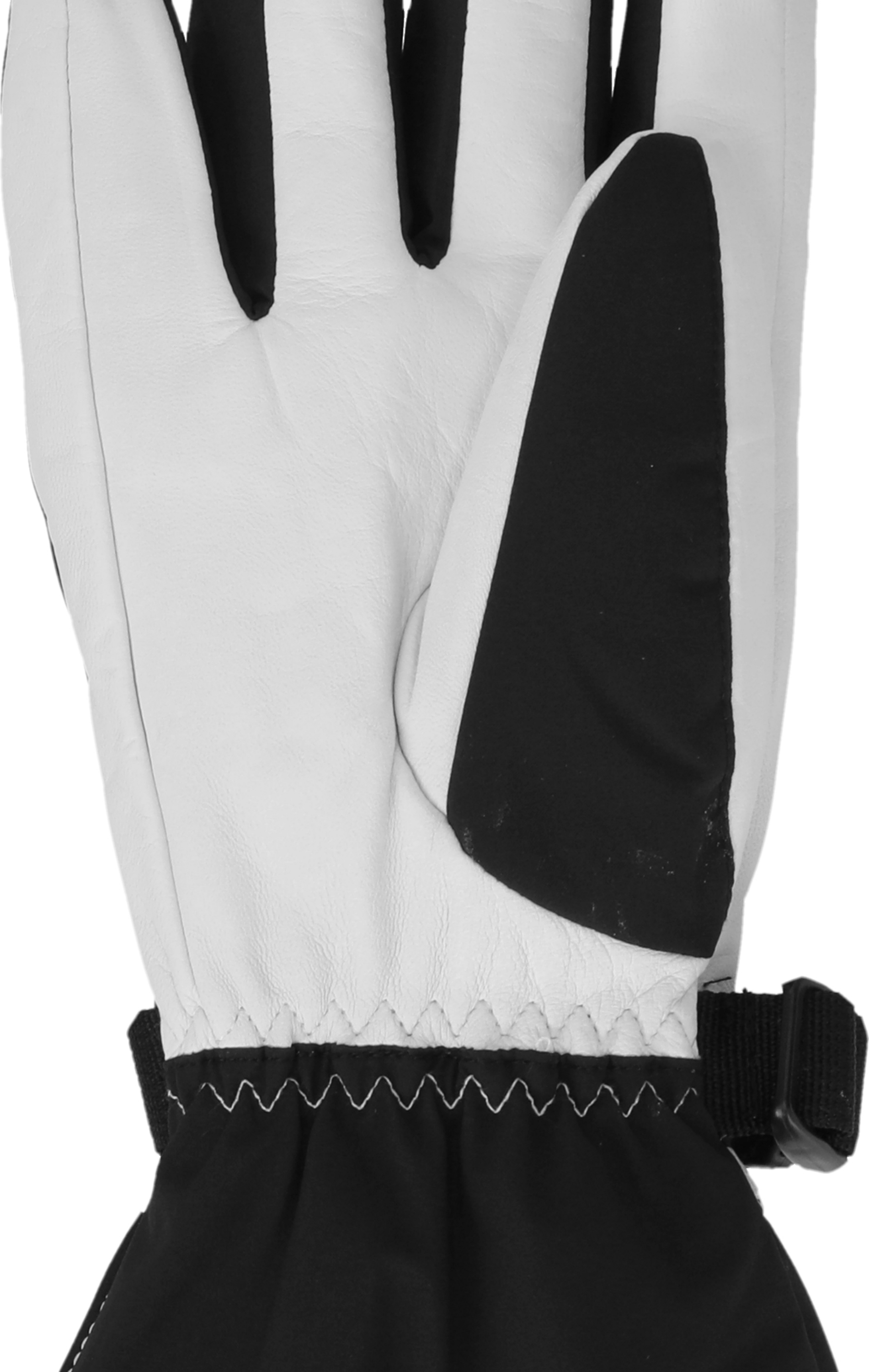 WHISTLER, Codiak Softshell