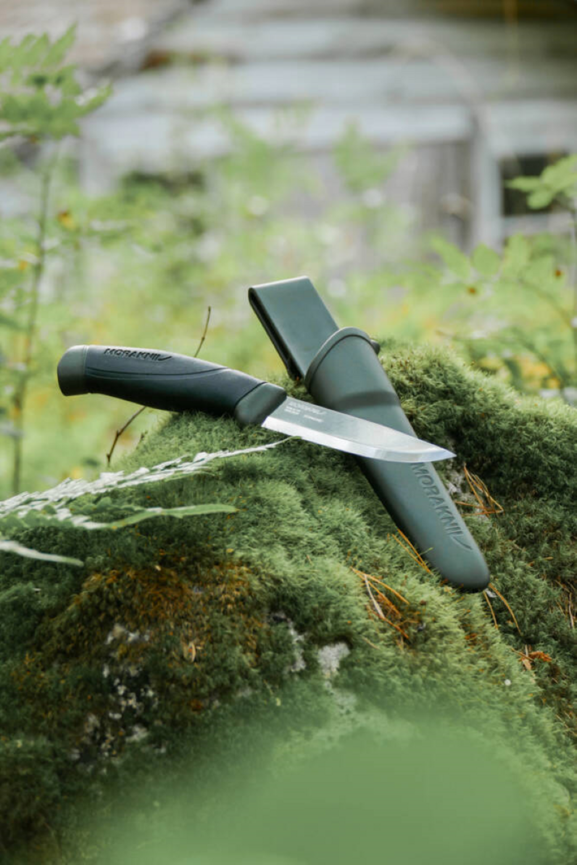 MORAKNIV, Companion (s)