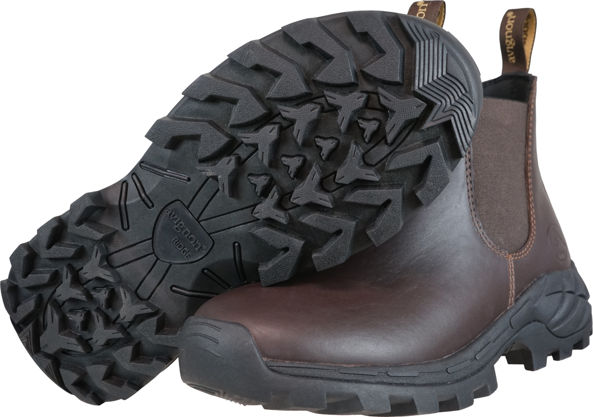 AVIGNON, Coober - Anatomisk Jodhpurs L&auml;der