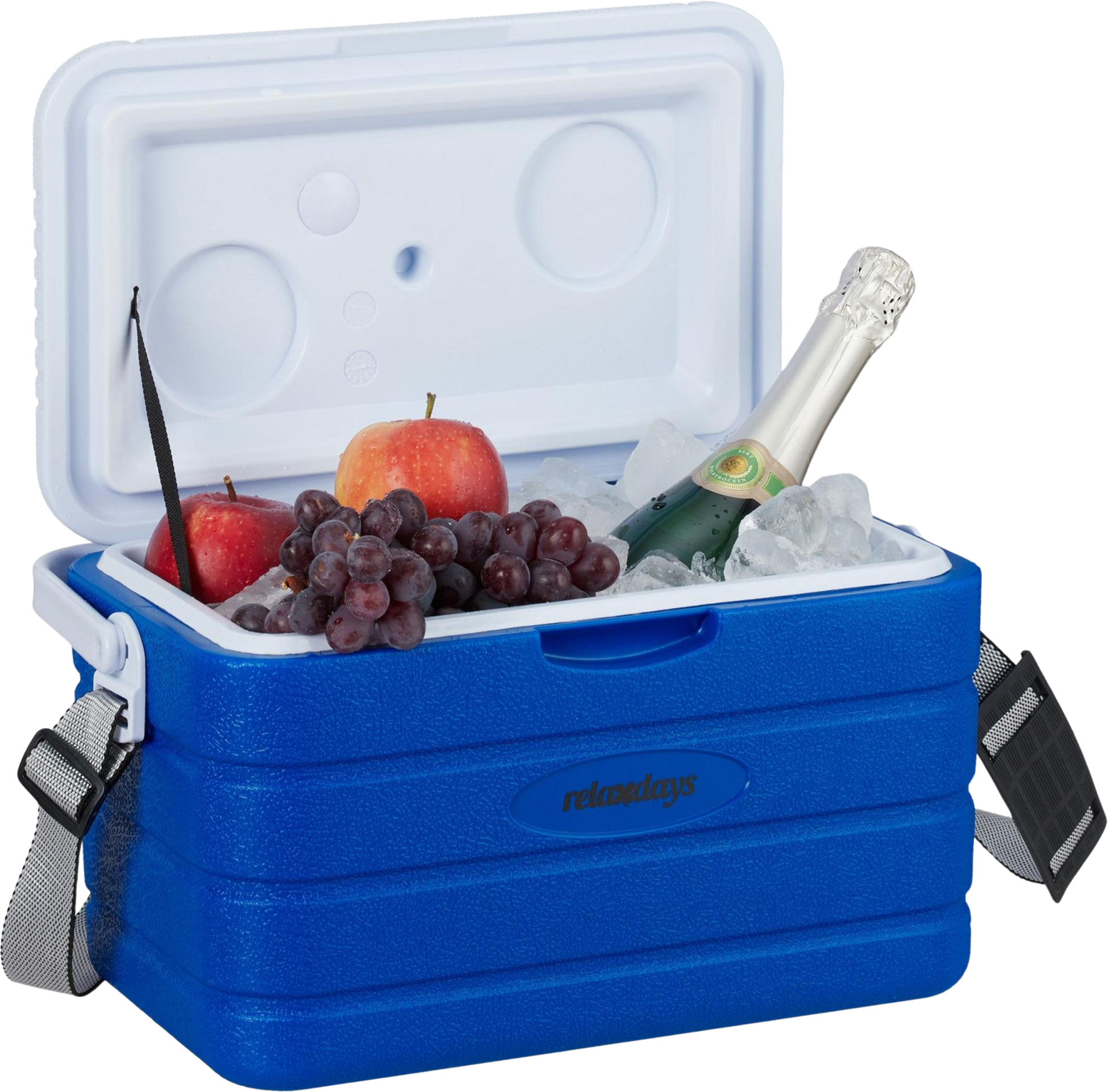 B2X, Cool Box 10 L With Carrying Strap