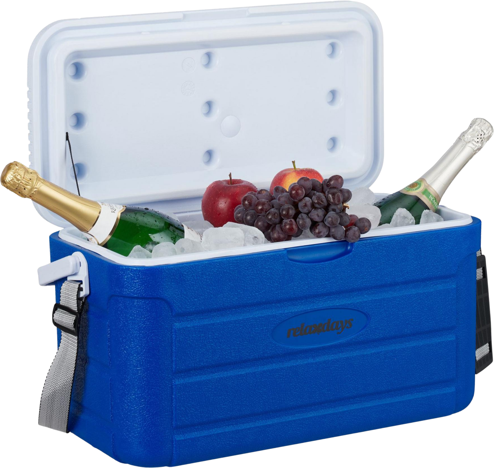 B2X, Cool Box 20 L With Carrying Strap
