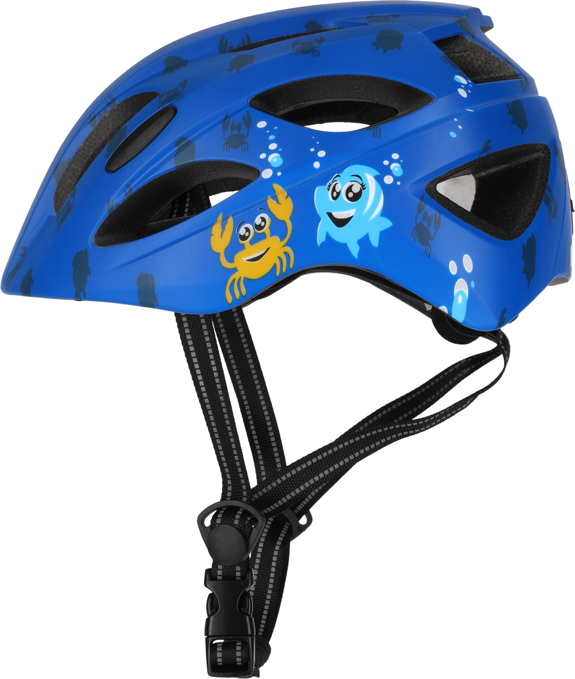 CRAZY SAFETY, Cool Sea