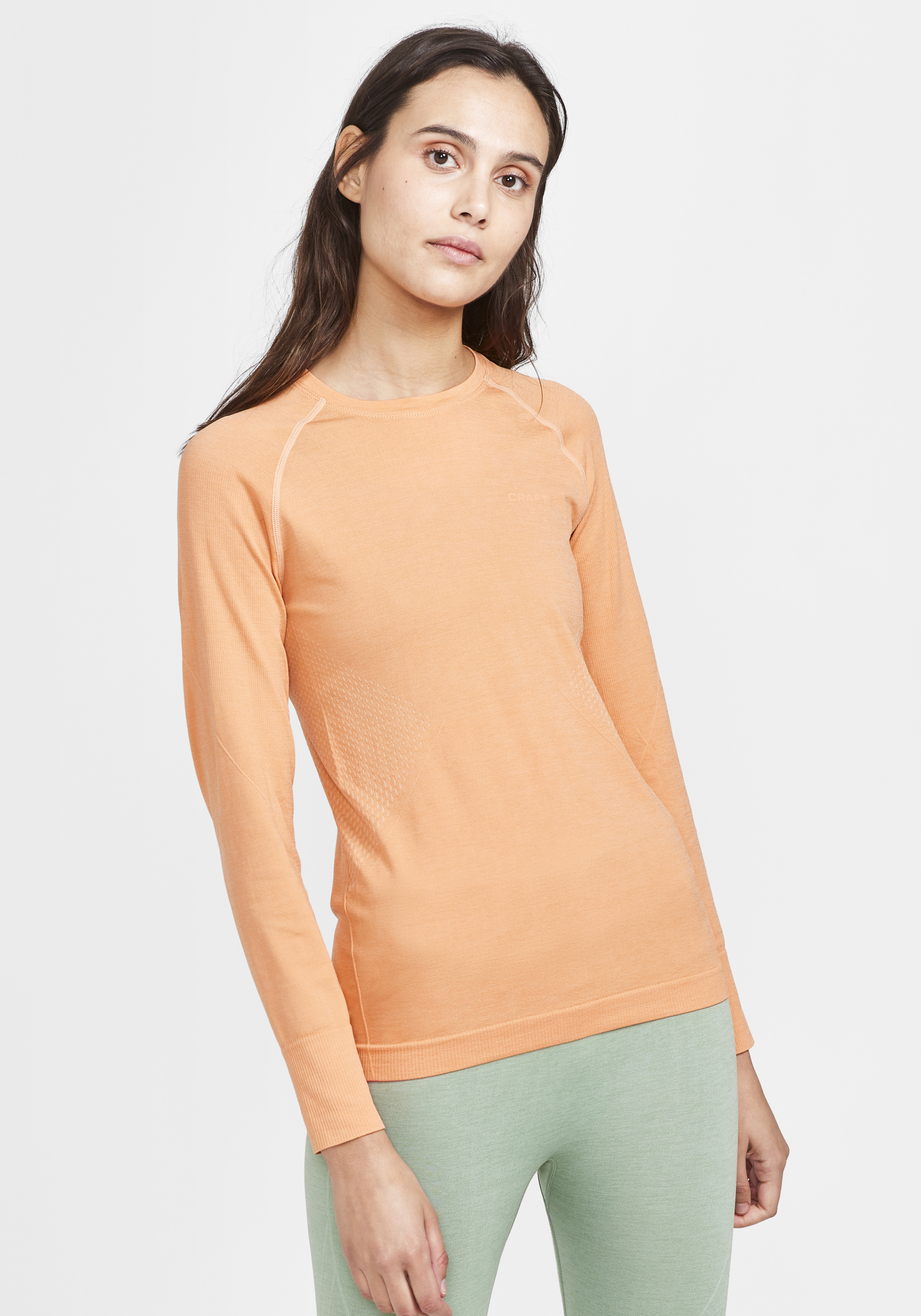 CRAFT, Core Dry Active Comfort Ls W