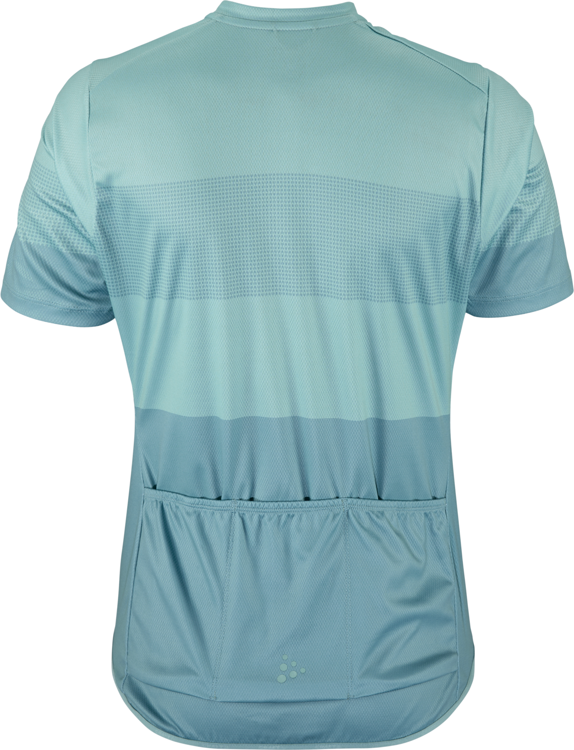 CRAFT, Core Endur Logo Jersey W