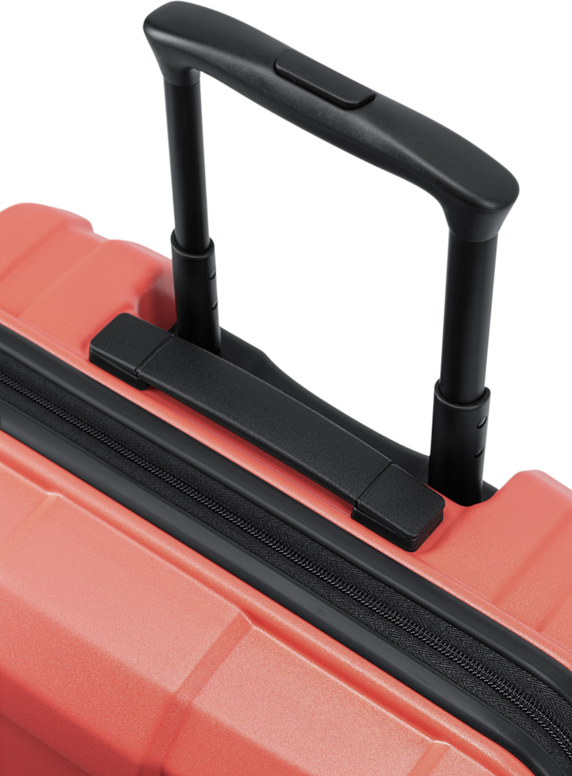 EPIC, Crate Wildlife Kabinv&auml;ska 55 Cm