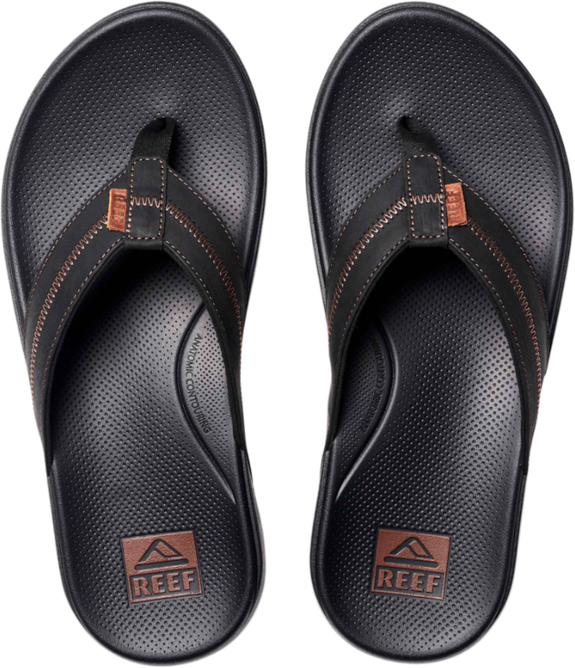 REEF, Cshn Phantom 2.0 Le