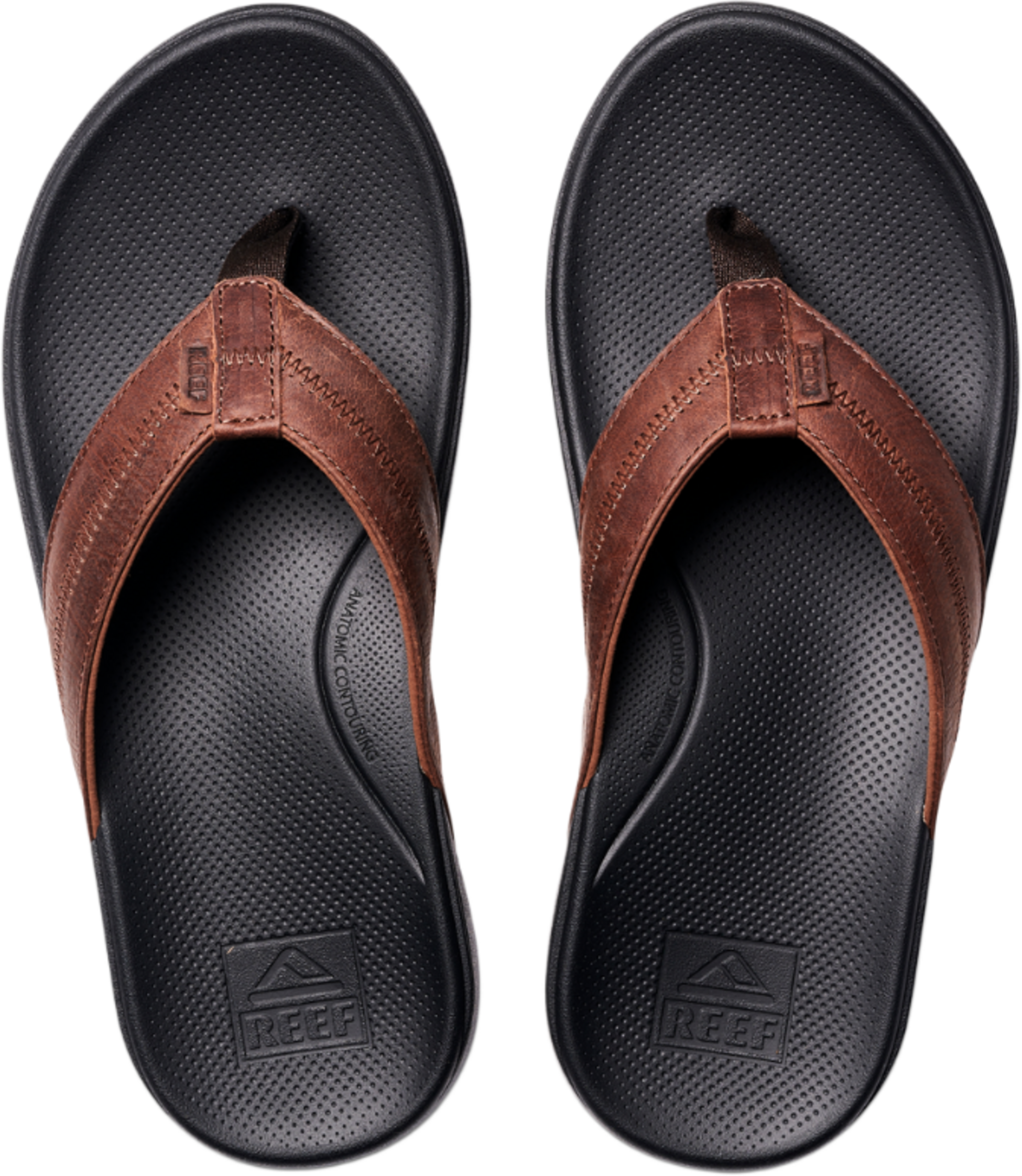 REEF, Cshn Phantom 2.0 Le