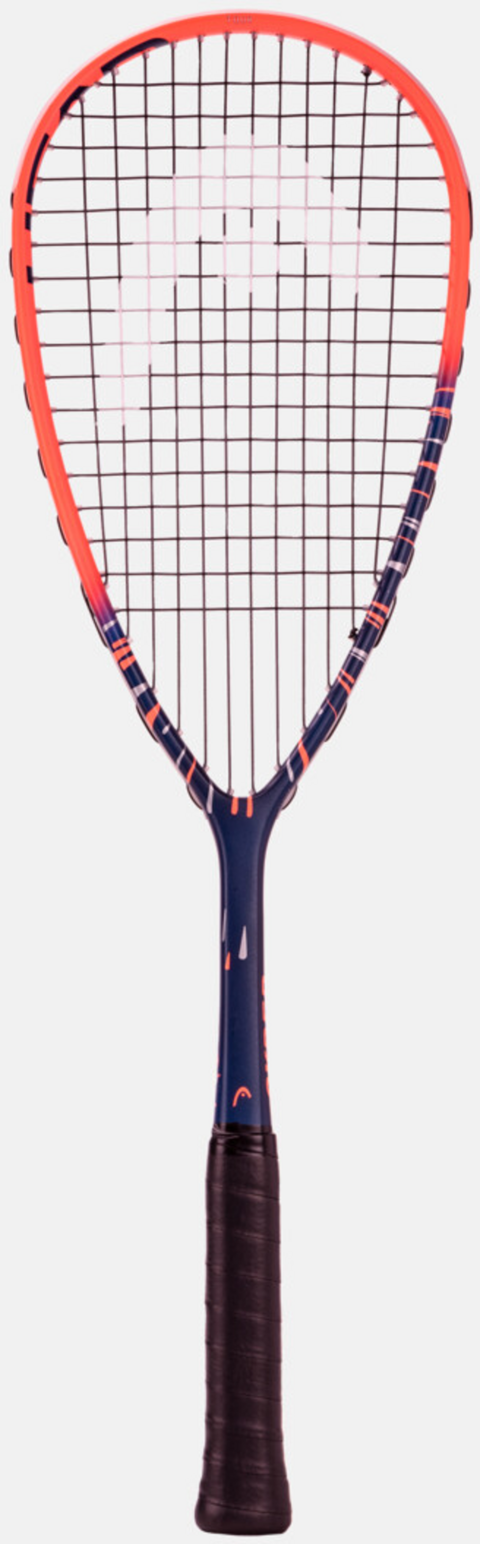 HEAD, Cyber Tour 2024