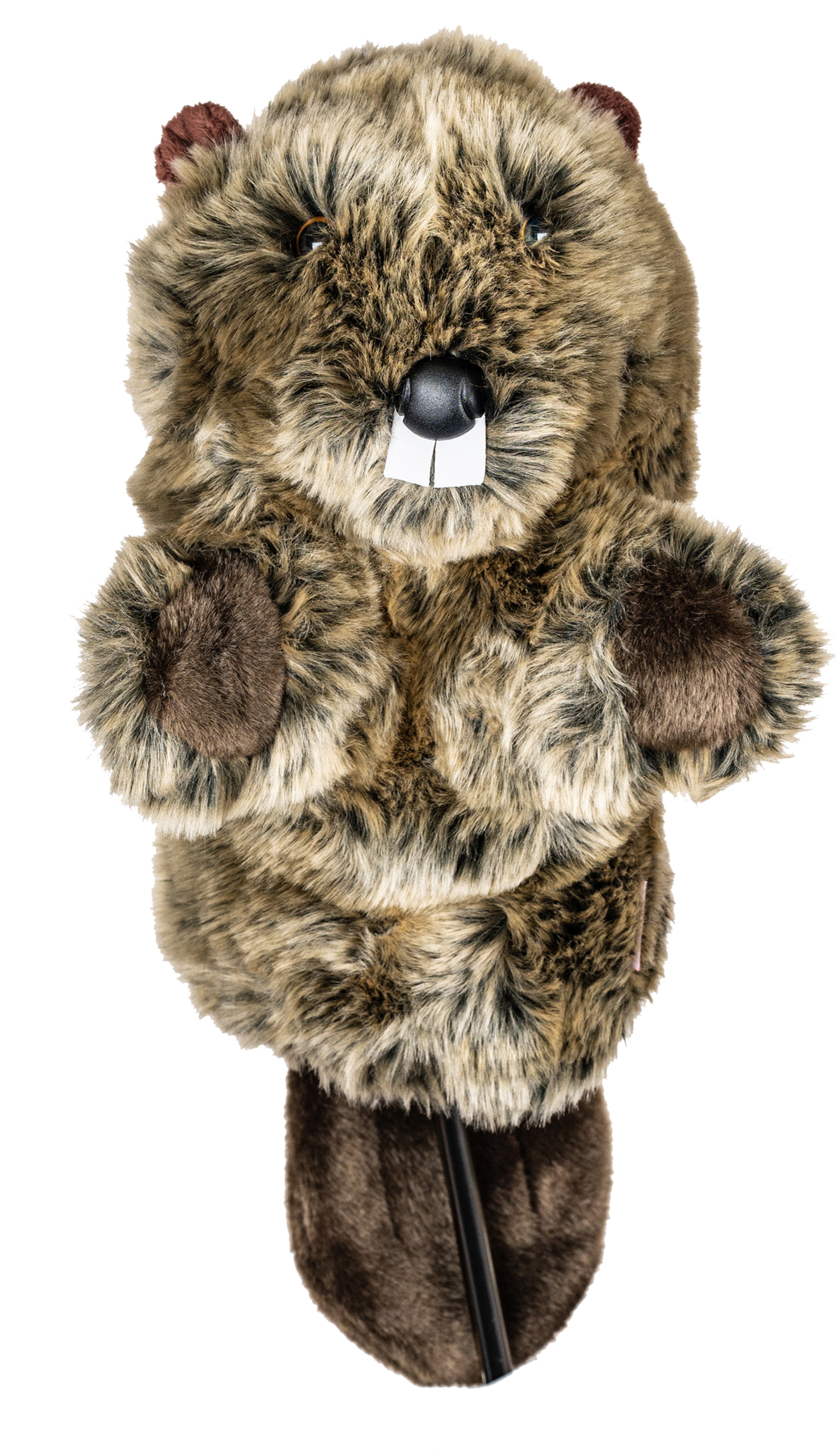 DAPHNE'S HEADCOVERS, Daphne's - Beaver