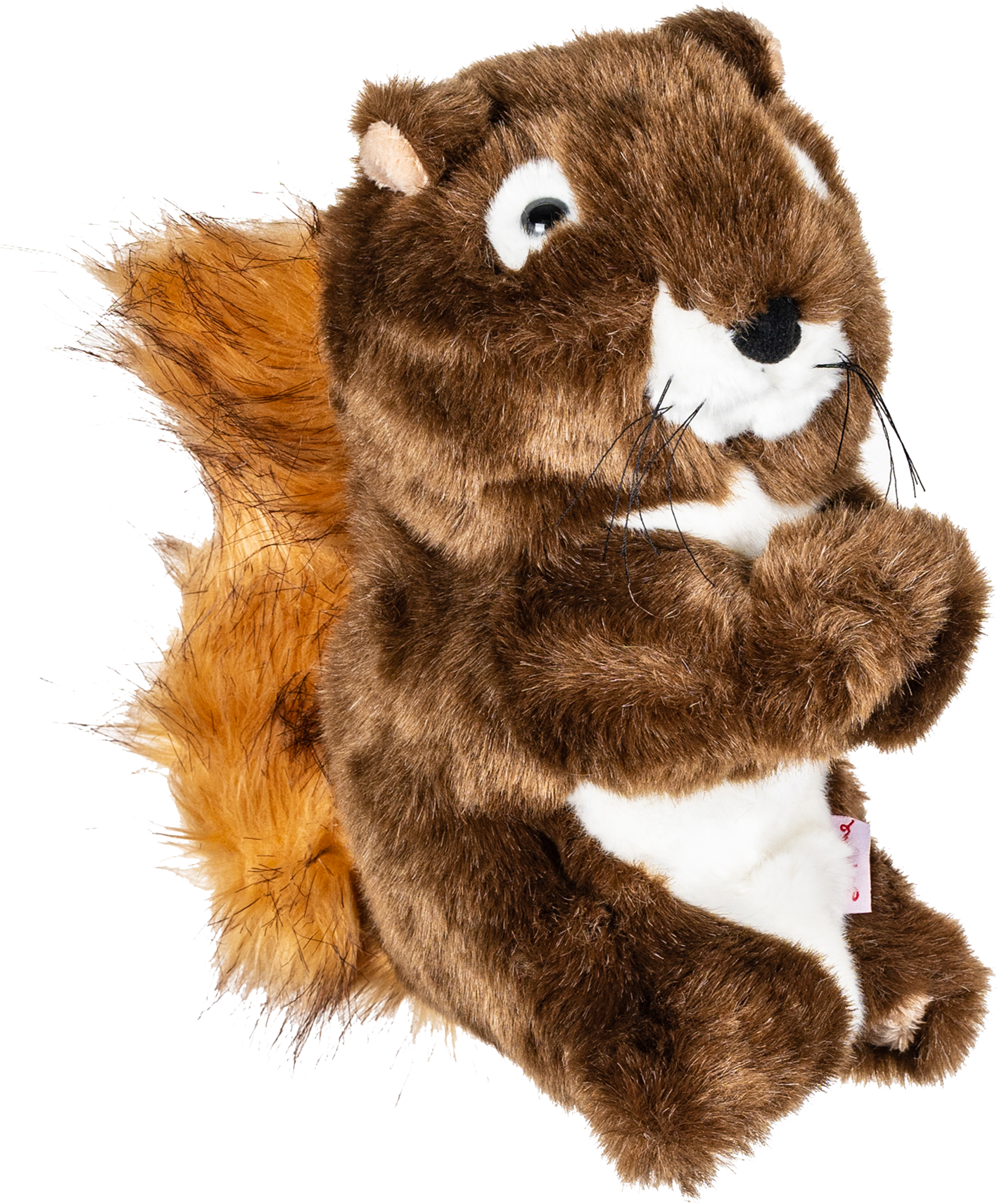 DAPHNE'S HEADCOVERS, Daphne's - Squirrel